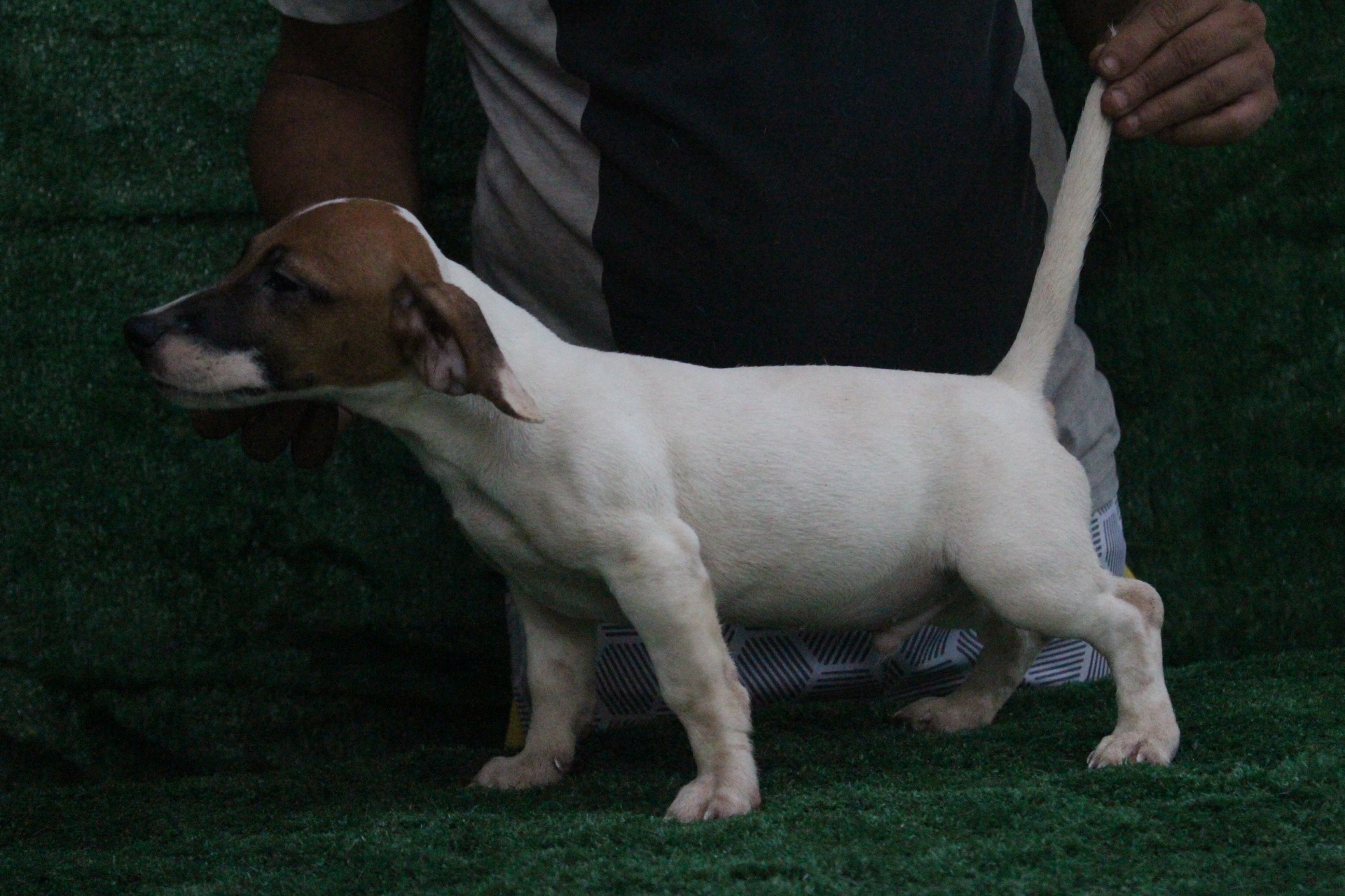 M3 Lexie 7 IMG_3784.JPG