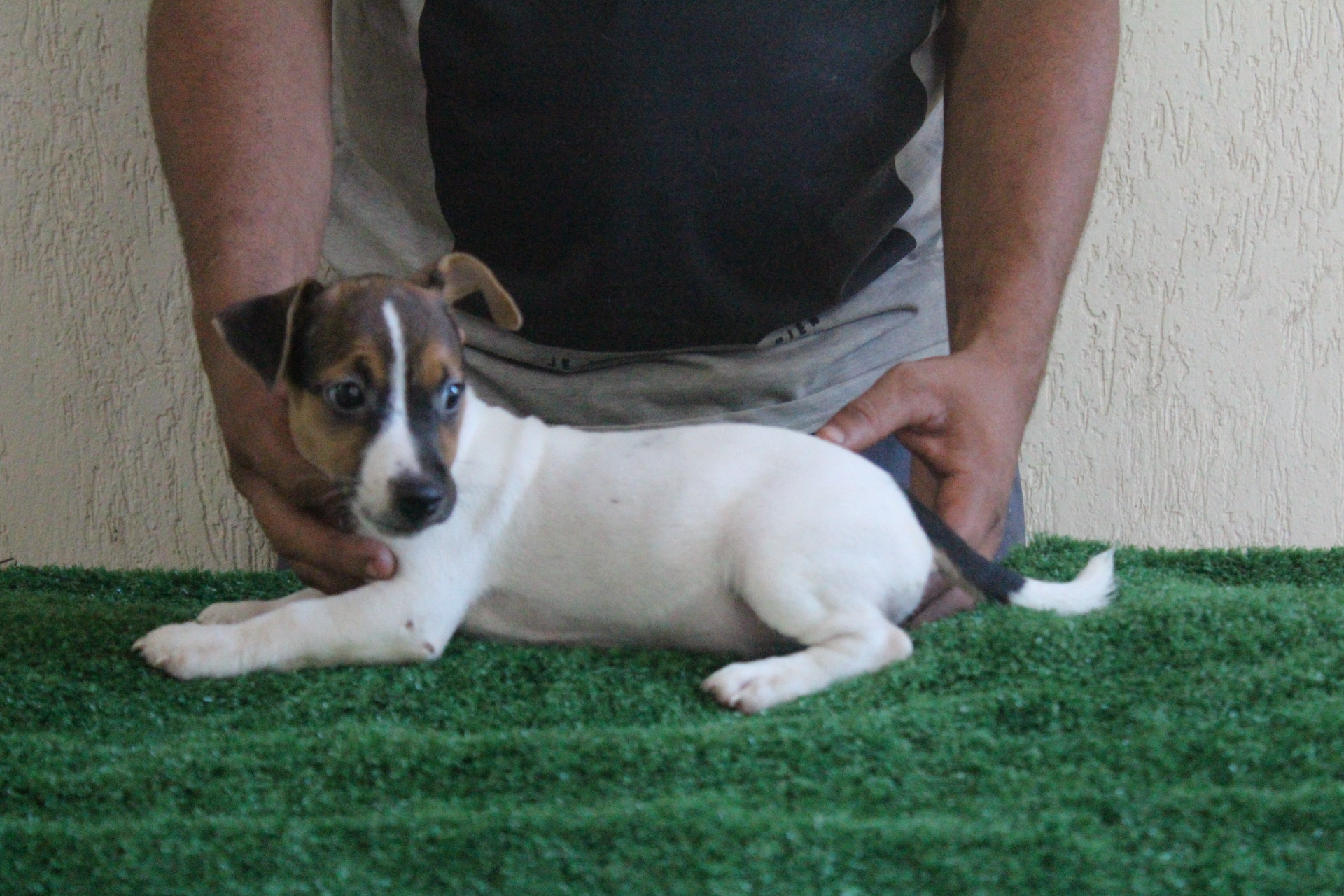 F2 Lexie 9 IMG_3580.JPG