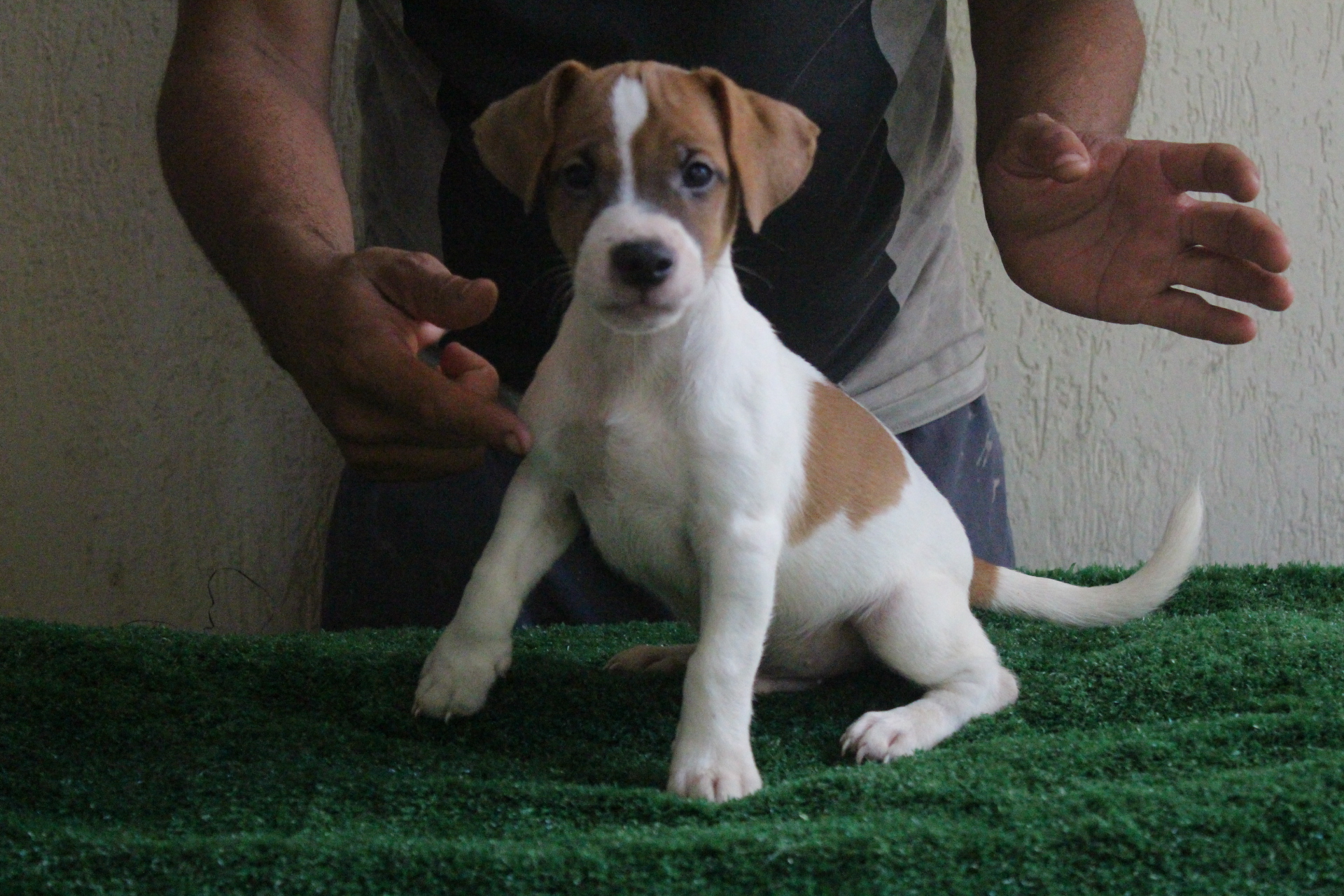 M1 Lexie 1 IMG_3489.JPG