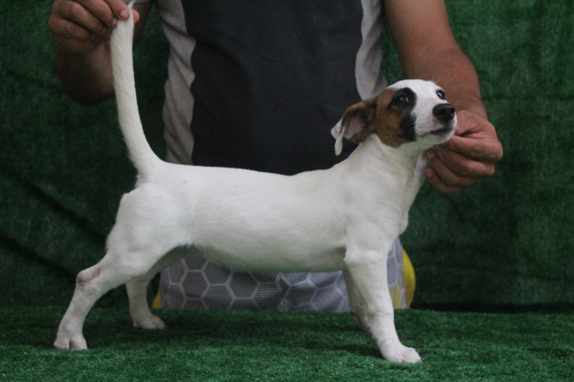 F2 Das Dô 5 IMG_3592.JPG