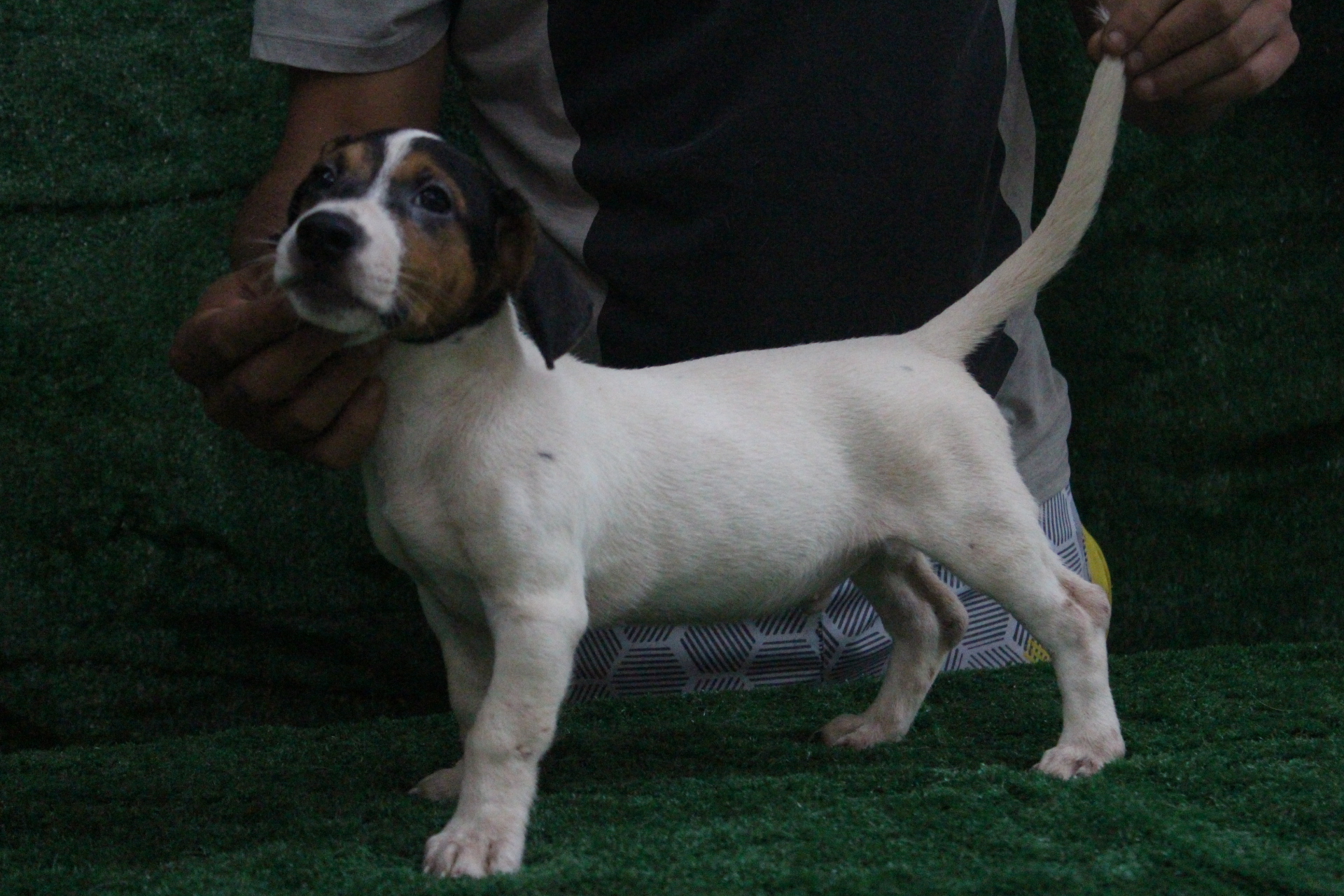 M2 Lexie 8 IMG_3743.JPG