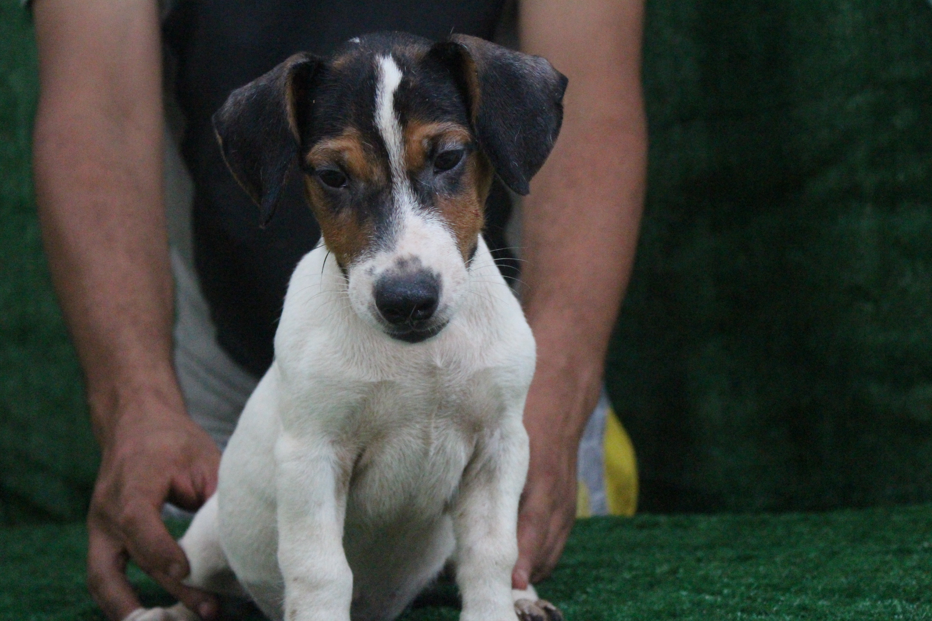 M2 Lexie 1 IMG_3725.JPG