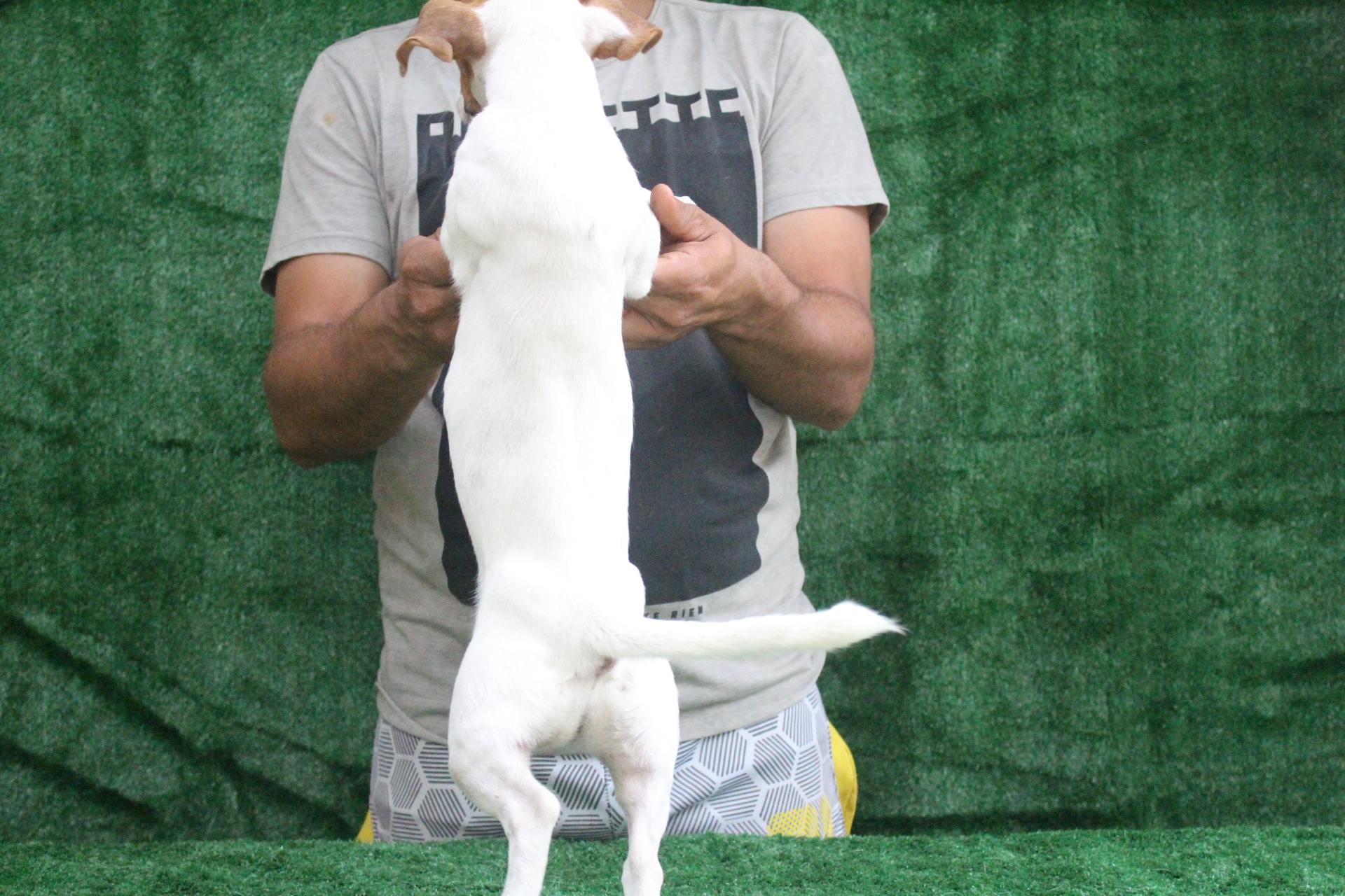 F1 Das Dô 3 IMG_3640.JPG