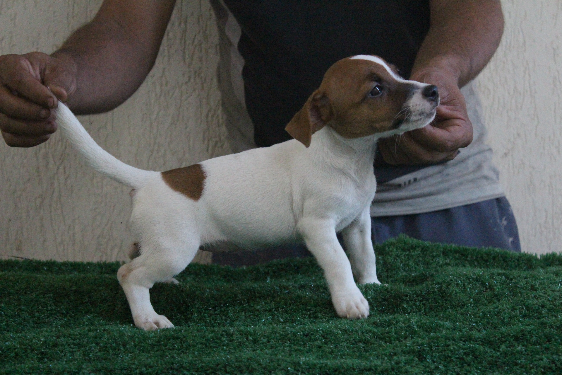 F2 Lexie 3 IMG_3605.JPG