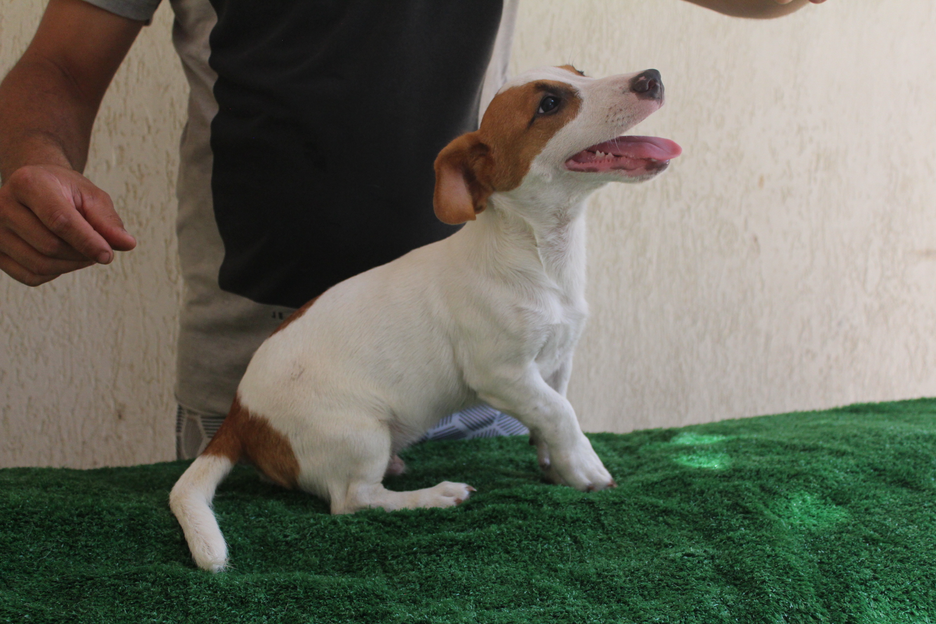 M1 Das Dô 4 IMG_3428.JPG