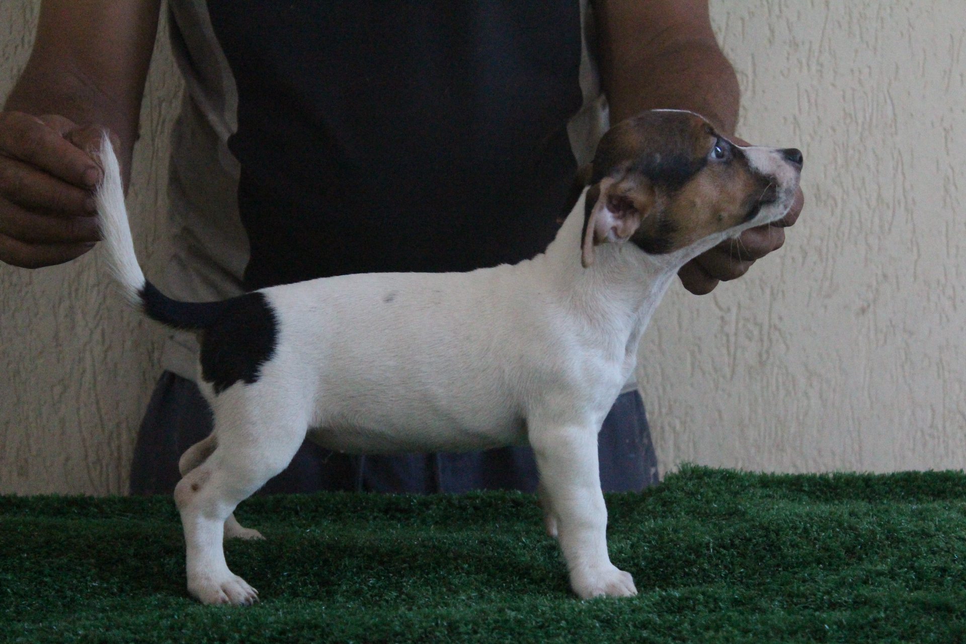 F1 Lexie 3 IMG_3590.JPG