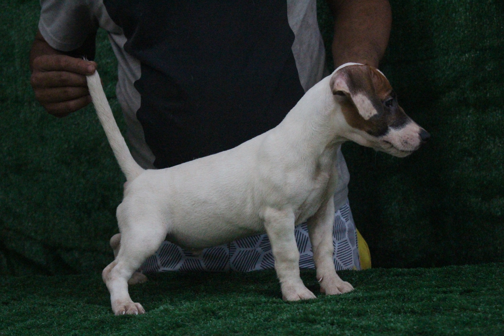 M3 Lexie 6 IMG_3773.JPG