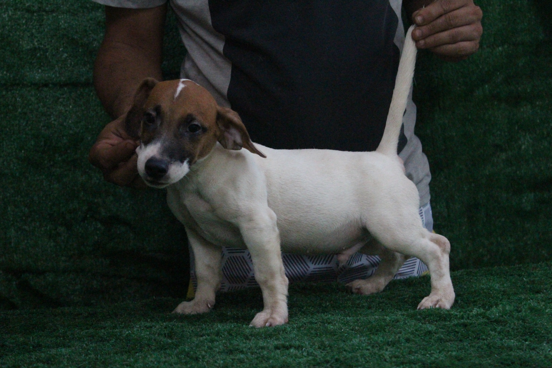 M3 Lexie 8 IMG_3786.JPG