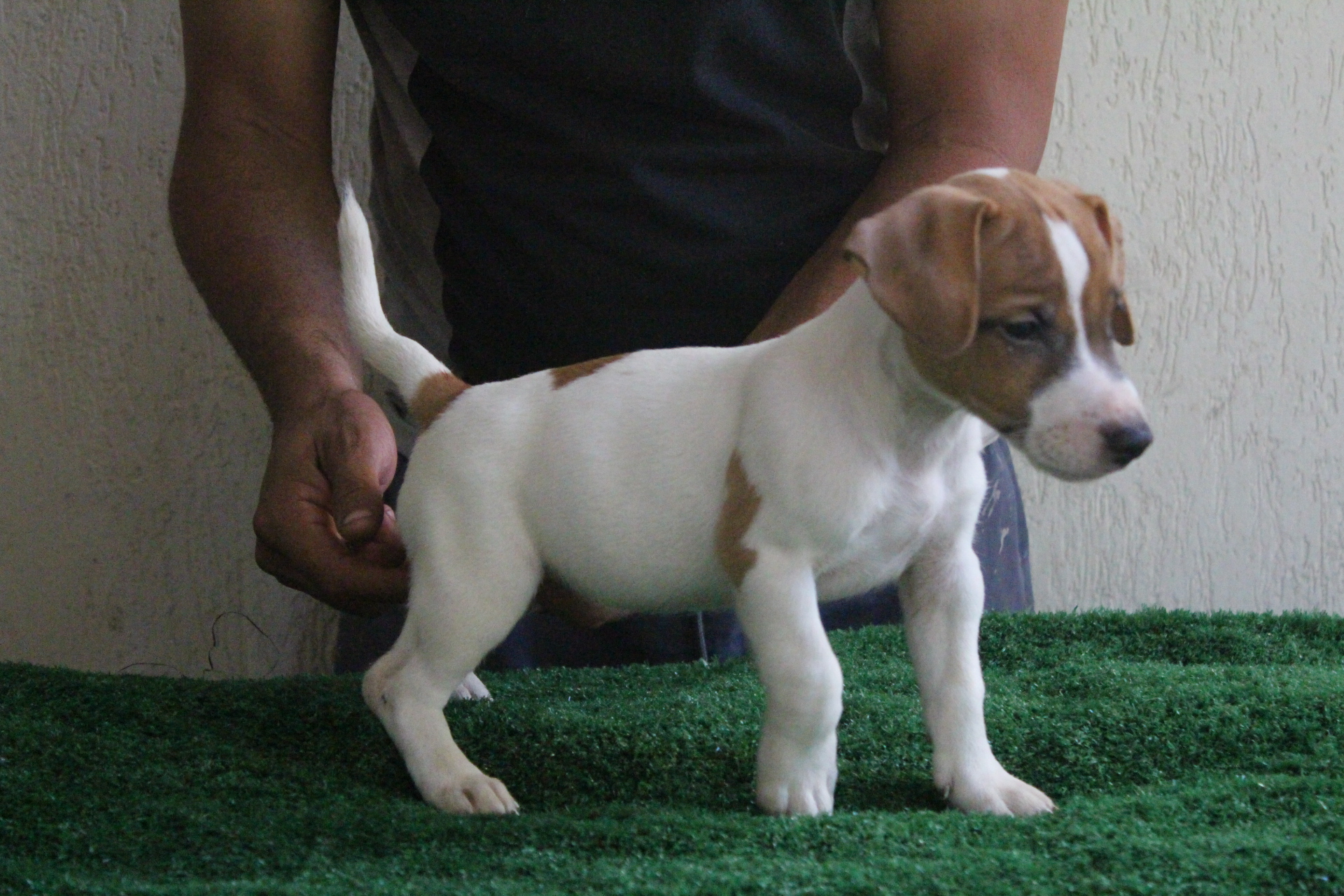 M1 Lexie 5 IMG_3497.JPG