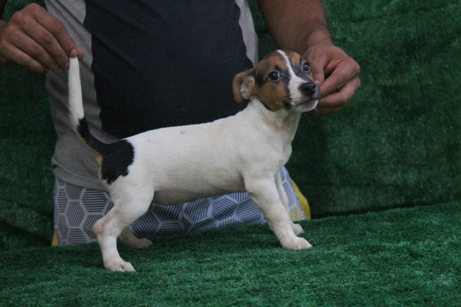 F1 Lexie 4 IMG_3816.JPG