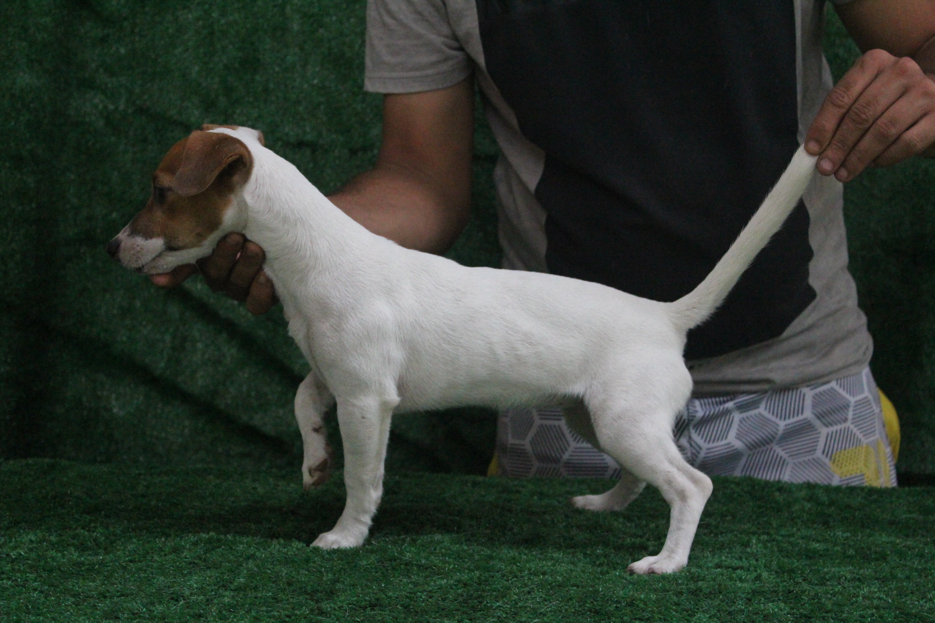 F1 Das Dô 7 IMG_3619.JPG