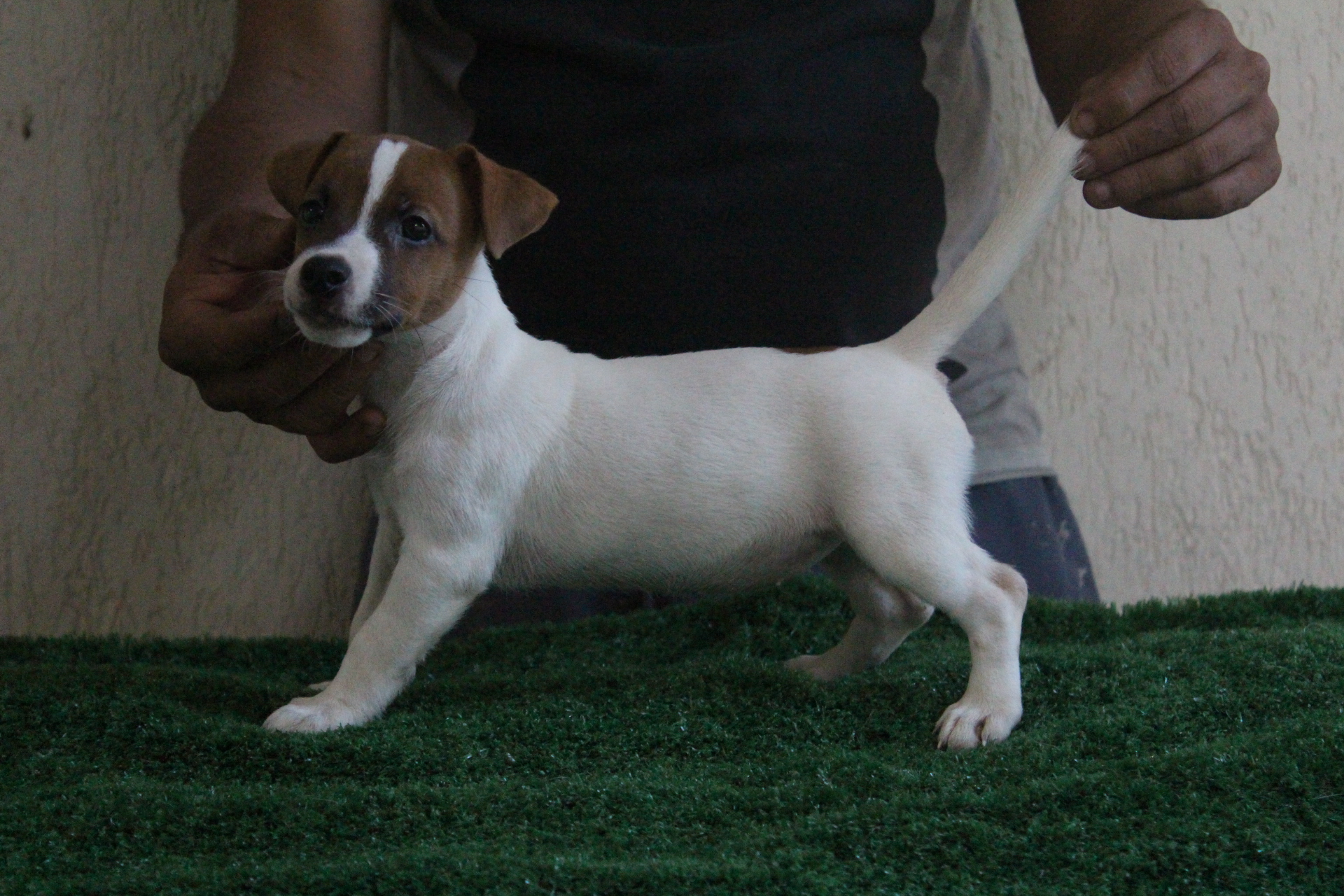 F2 Lexie 6 IMG_3600.JPG