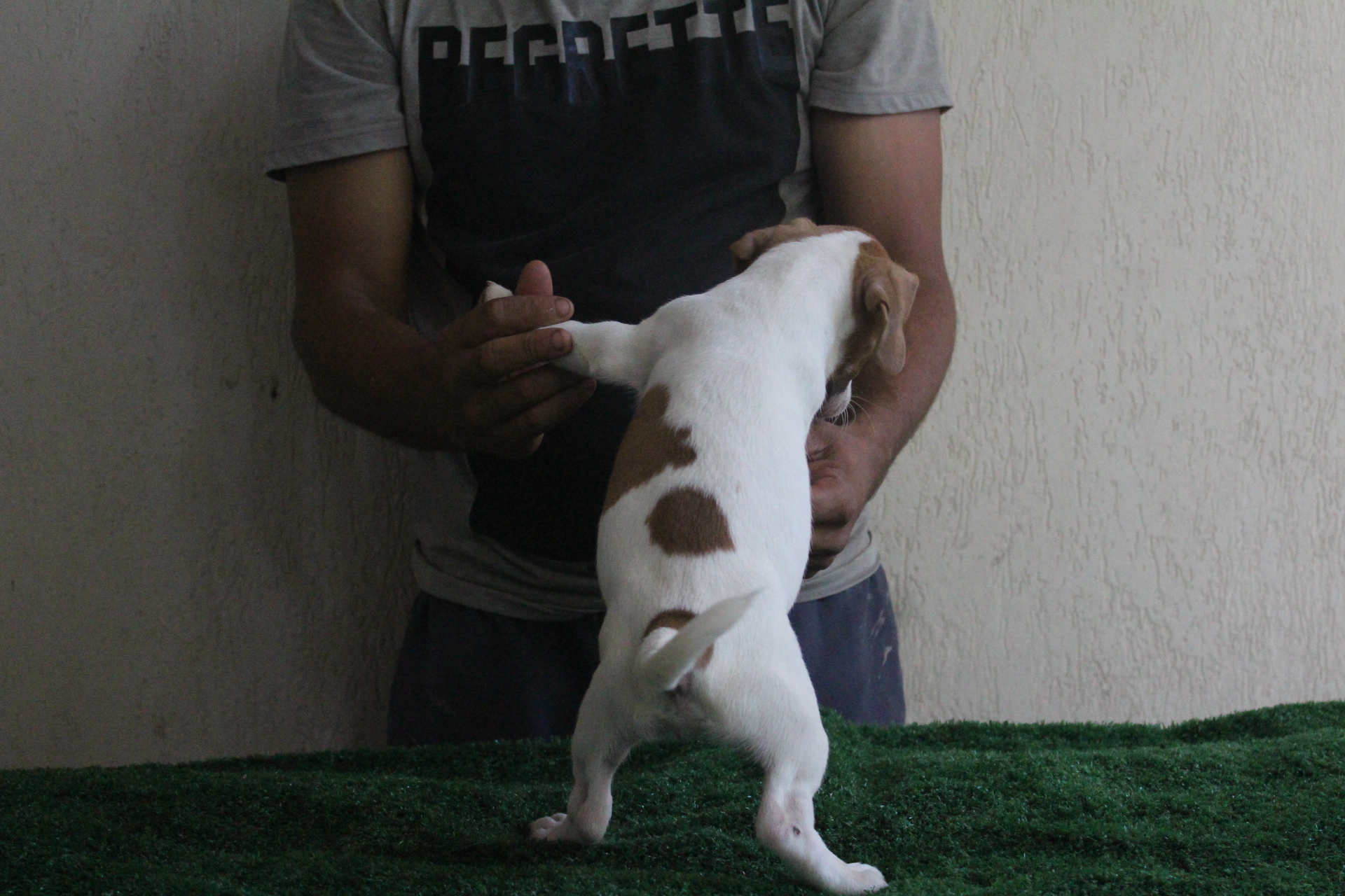 M1 Lexie 4 IMG_3546.JPG