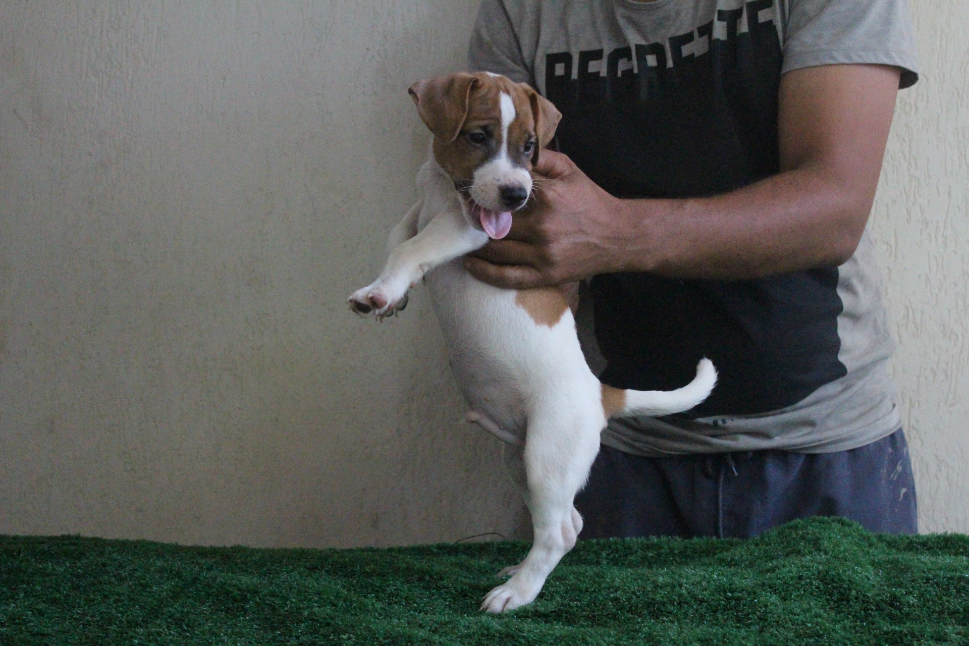 M1 Lexie 10 IMG_3536.JPG