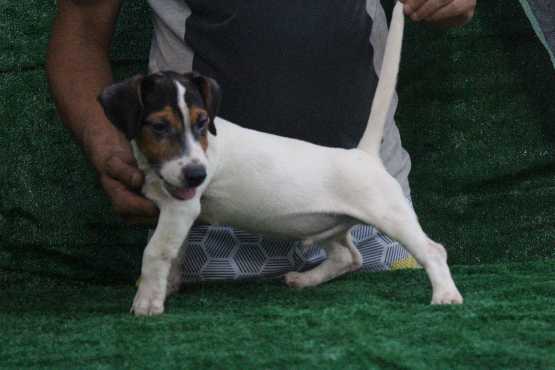 M2 Lexie 9 IMG_3749.JPG