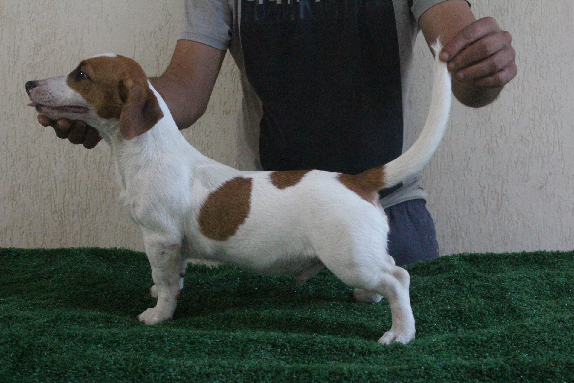 M1 Das Dô 7 IMG_3670.JPG