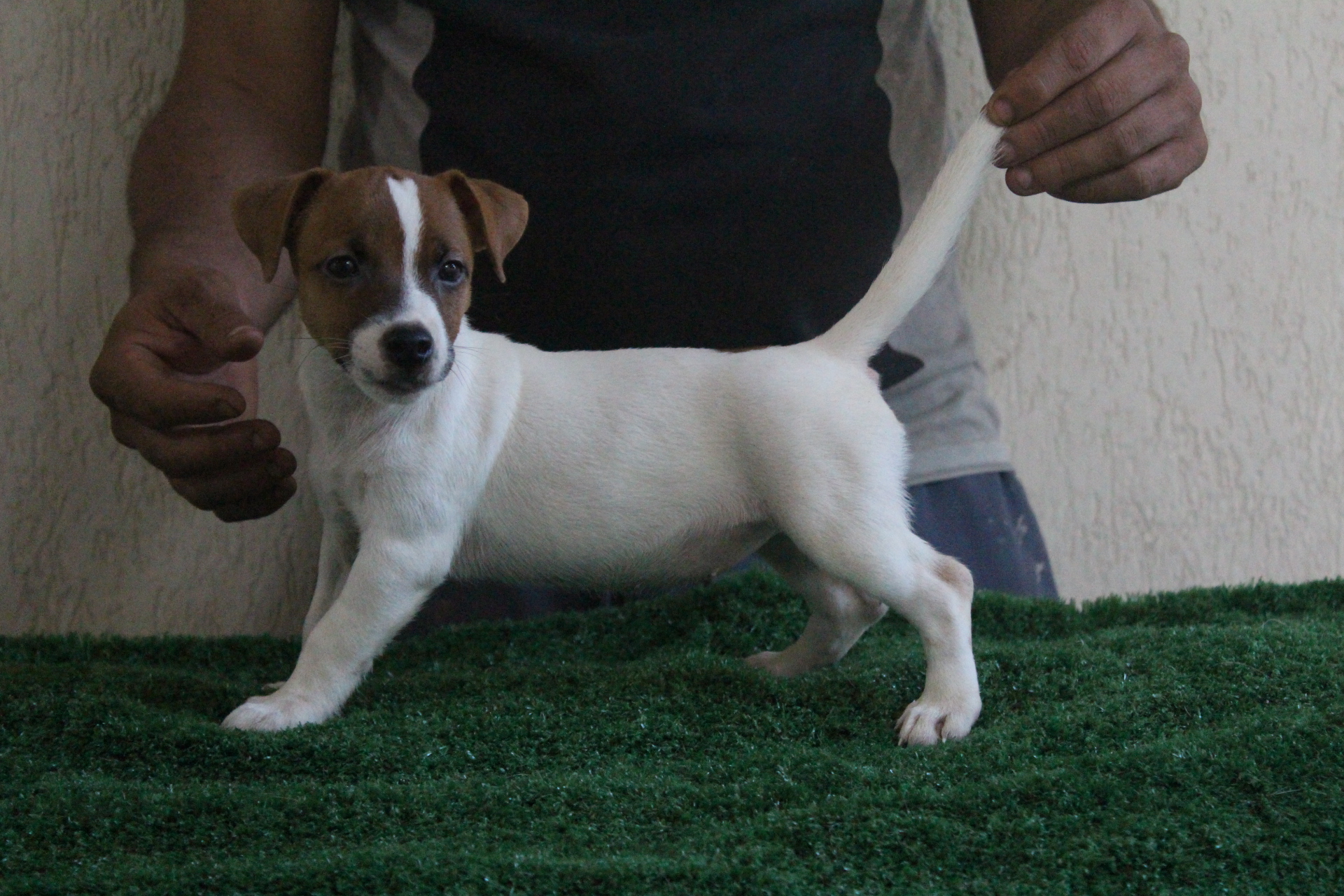 F2 Lexie 7 IMG_3602.JPG