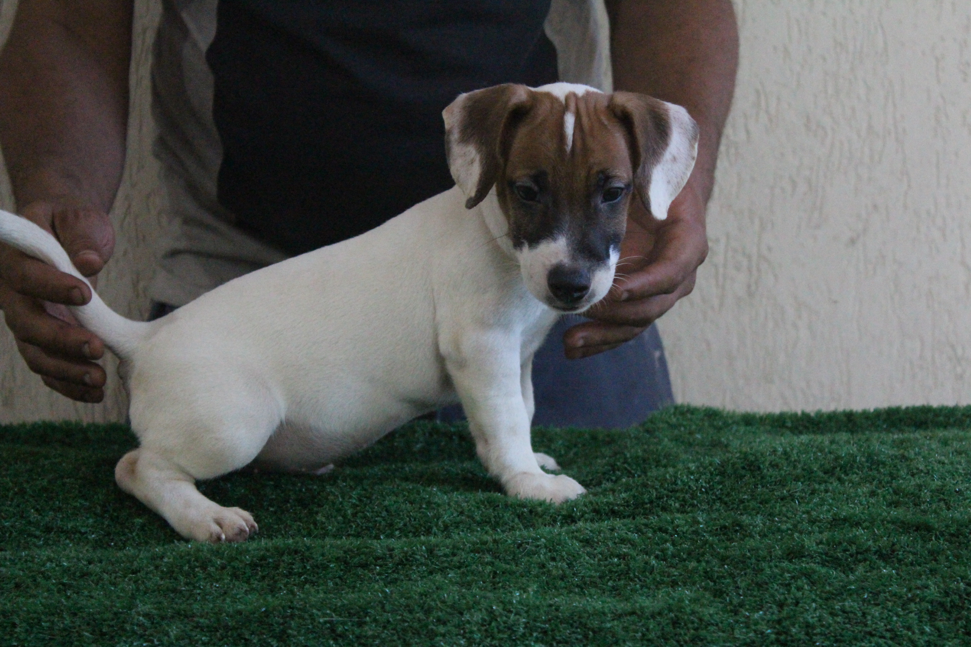 M3 Lexie 4 IMG_3573.JPG