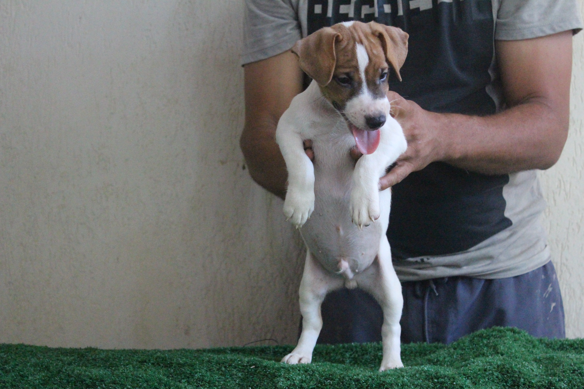 M1 Lexie 3 IMG_3534.JPG