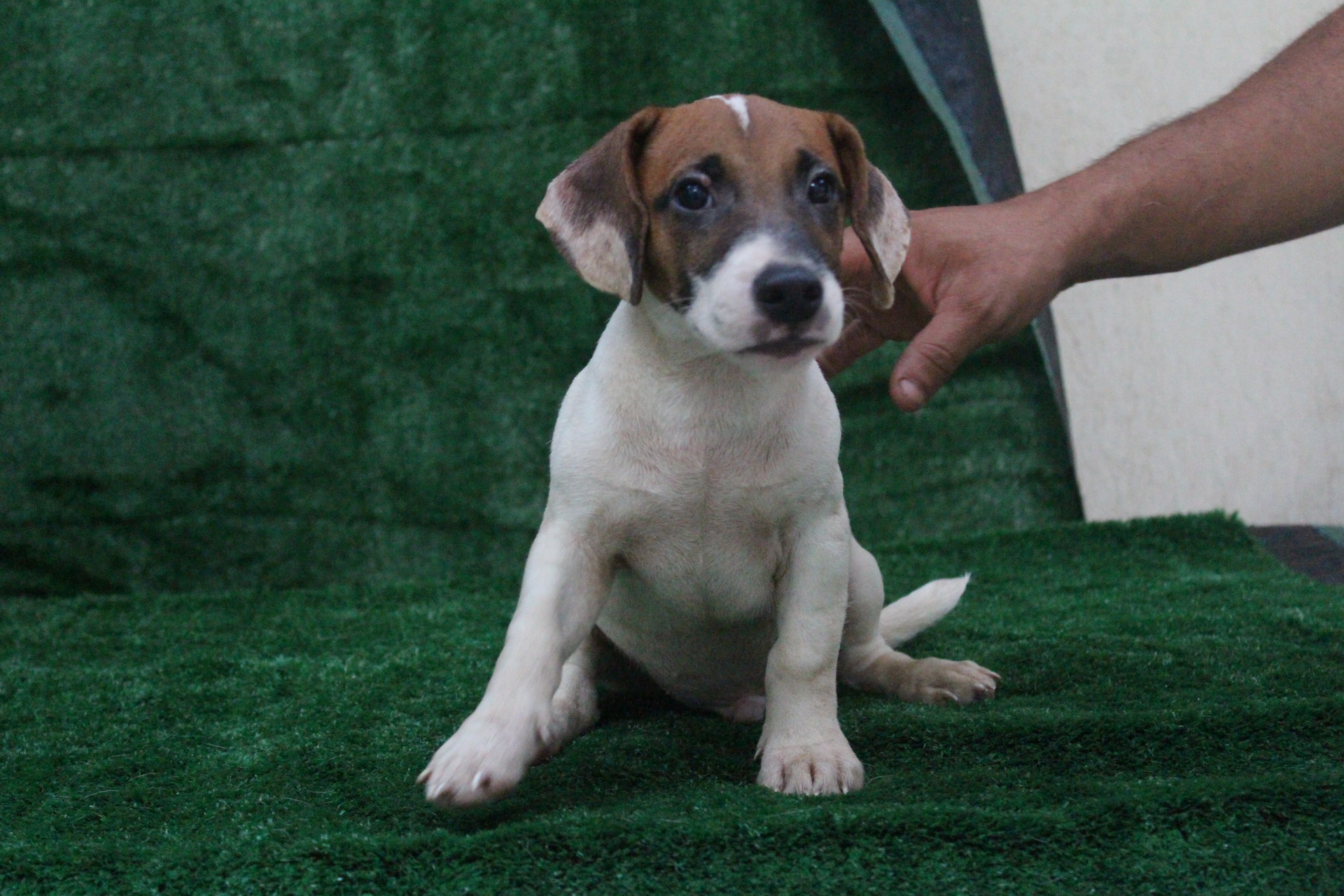 M3 Lexie 2 IMG_3801.JPG