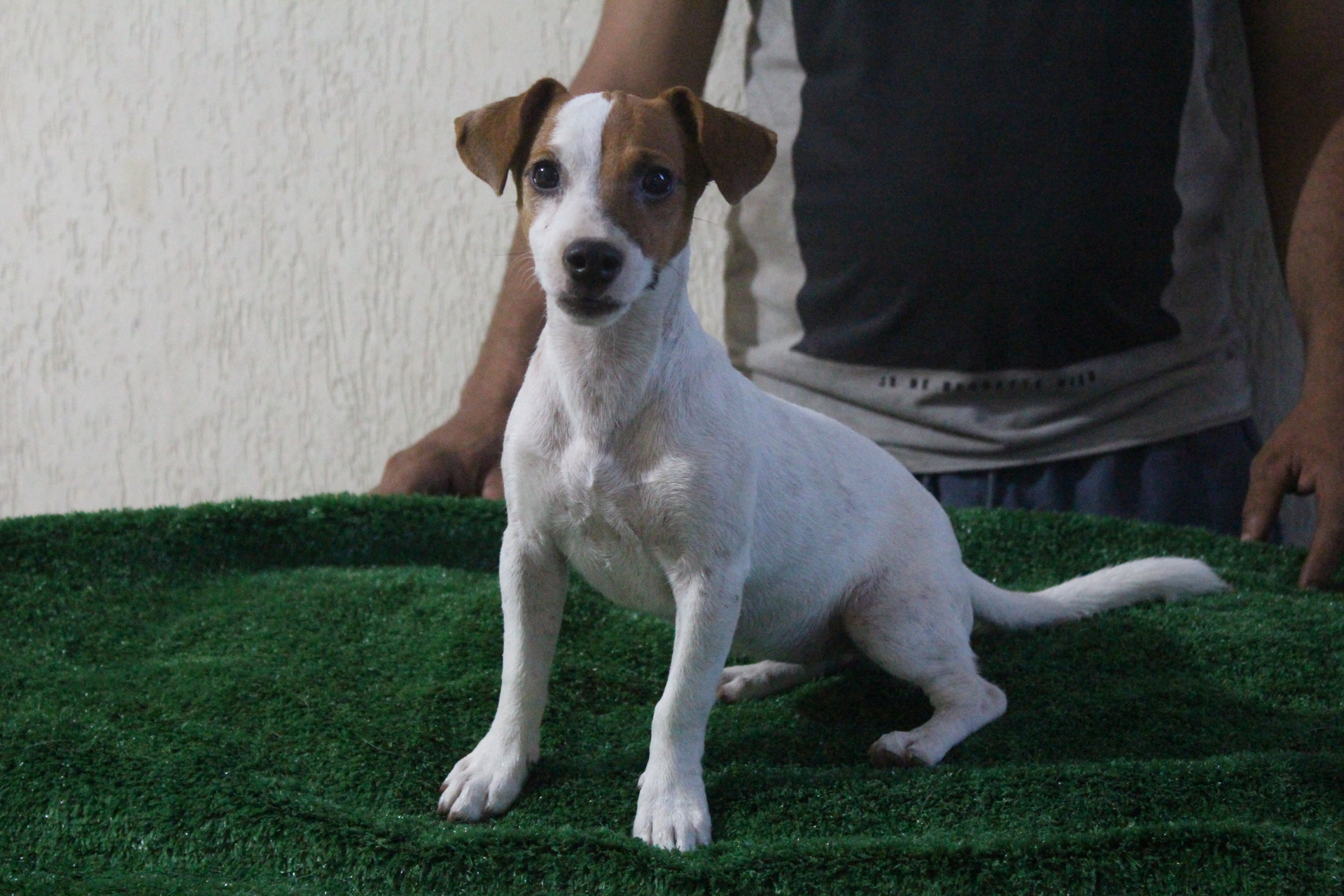 F1 Das Dô 2 IMG_3755.JPG