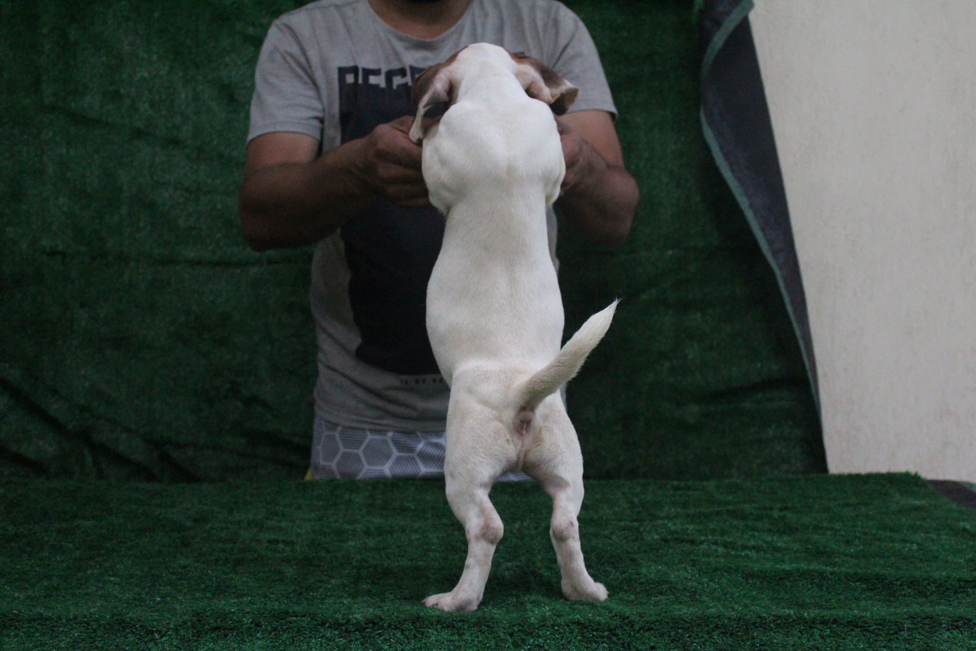 M3 Lexie 3 IMG_3761.JPG