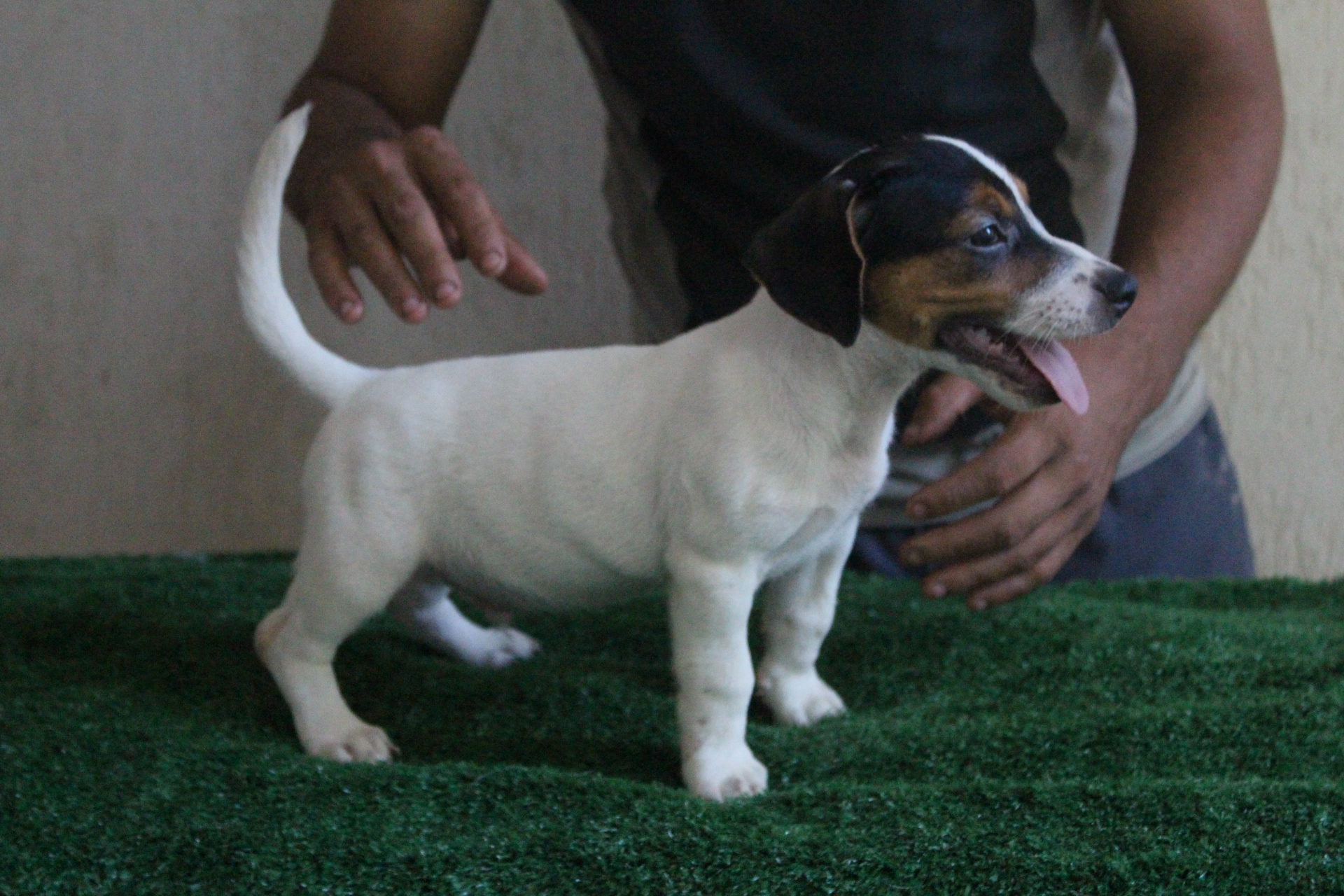 M2 Lexie 5 IMG_3561.JPG