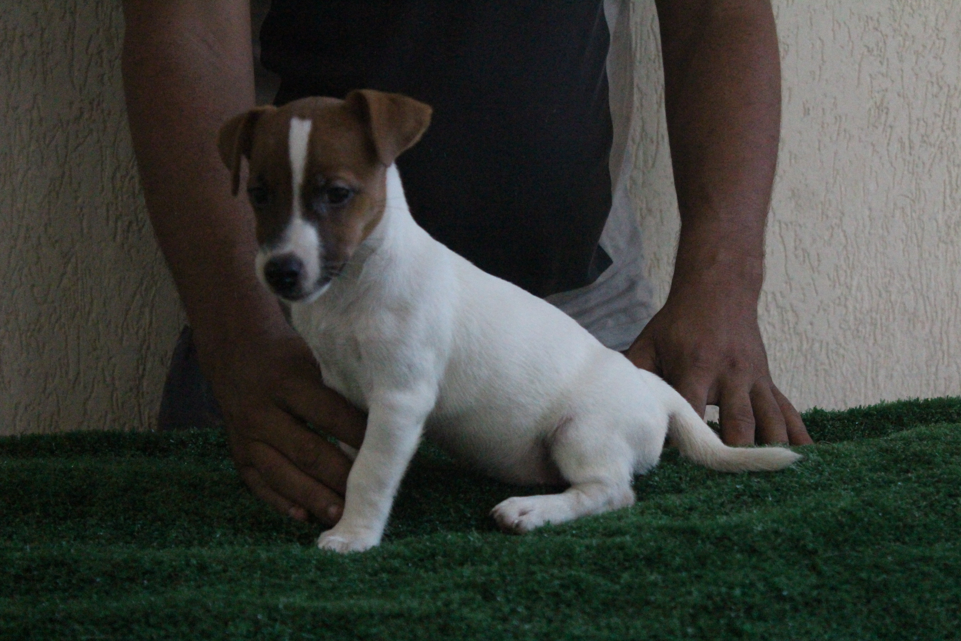 F2 Lexie 9 IMG_3596.JPG