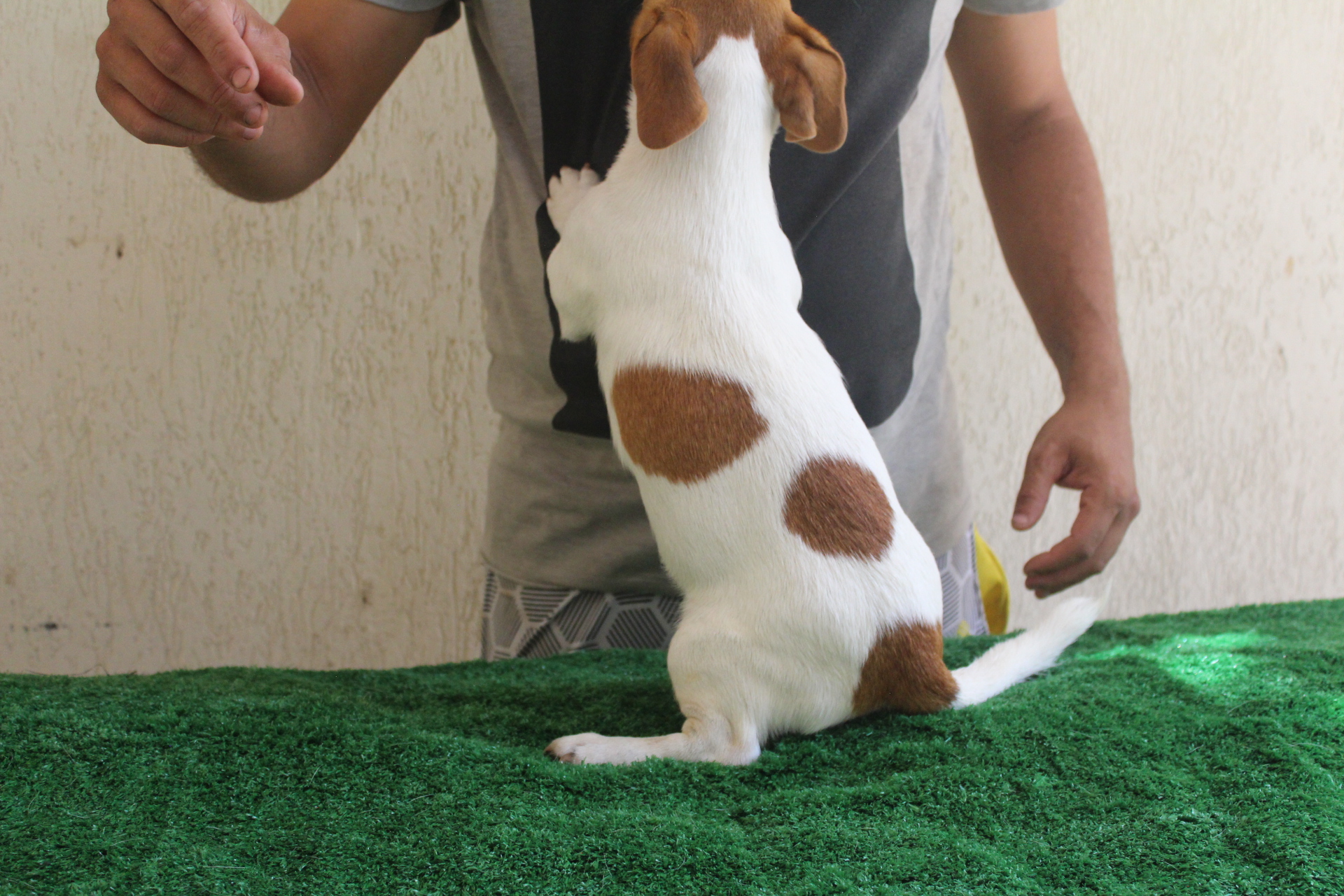 M1 Das Dô 3 IMG_3436.JPG