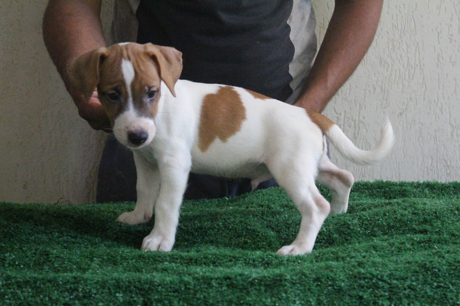 M1 Lexie 8 IMG_3499.JPG