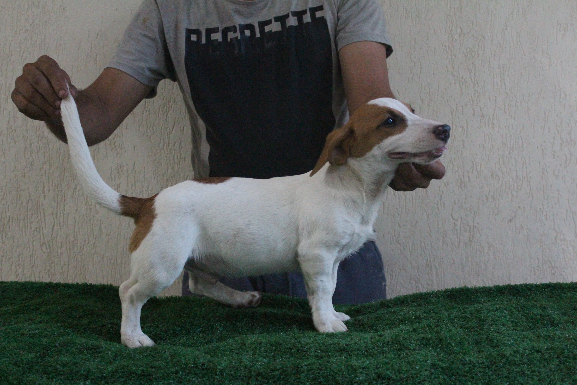 M1 Das Dô 5 IMG_3679.JPG