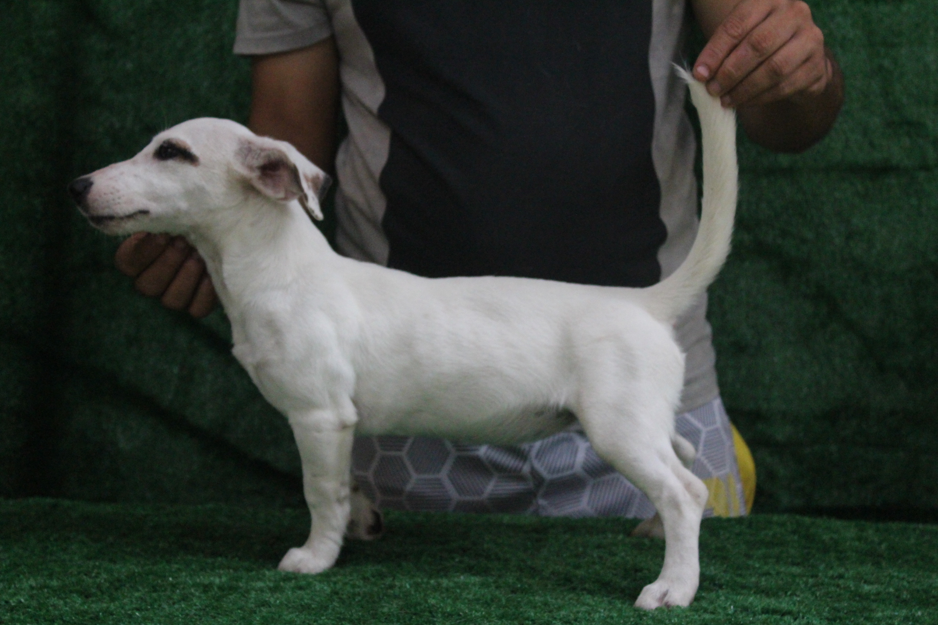 F2 Das Dô 7 IMG_3596.JPG