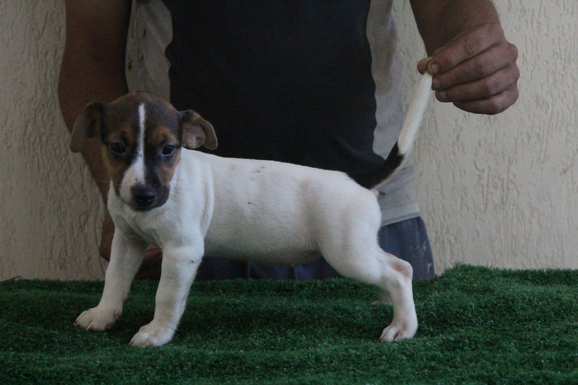 F2 Lexie 7 IMG_3585.JPG