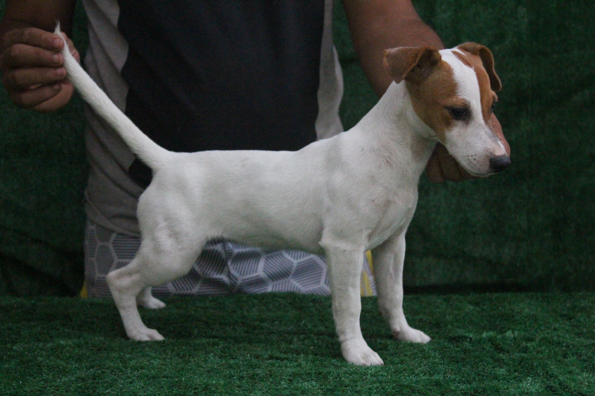 F1 Das Dô 5 IMG_3613.JPG