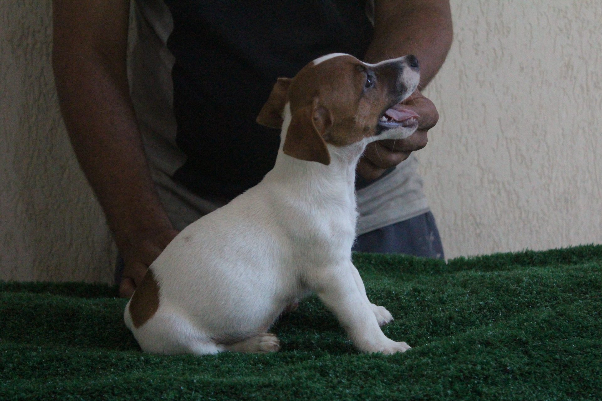 F2 Lexie 2 IMG_3597.JPG