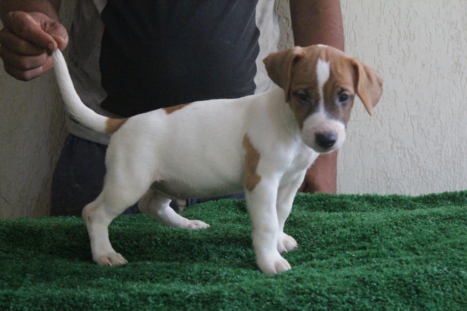 M1 Lexie 6 IMG_3498.JPG