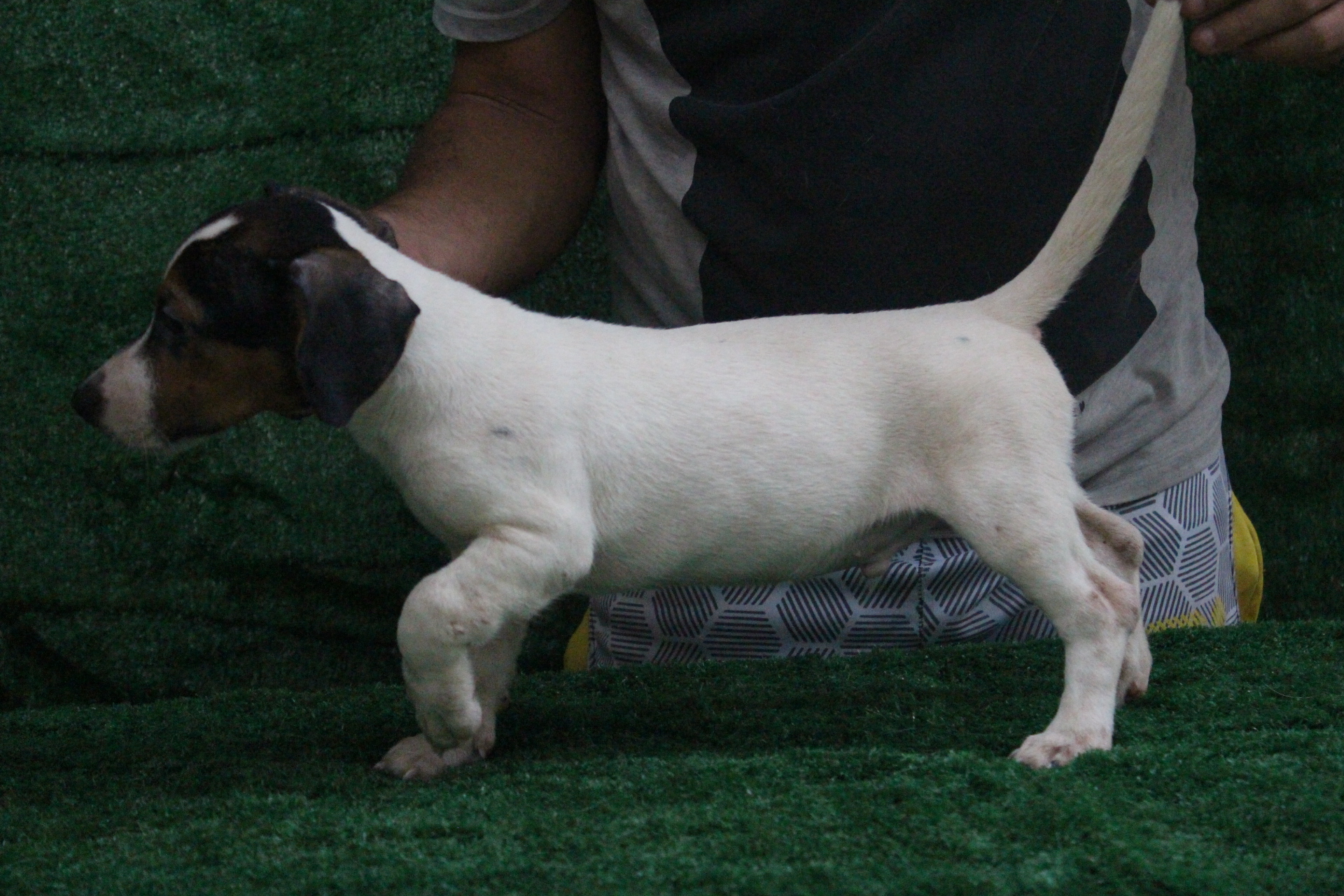 M2 Lexie 7 IMG_3742.JPG