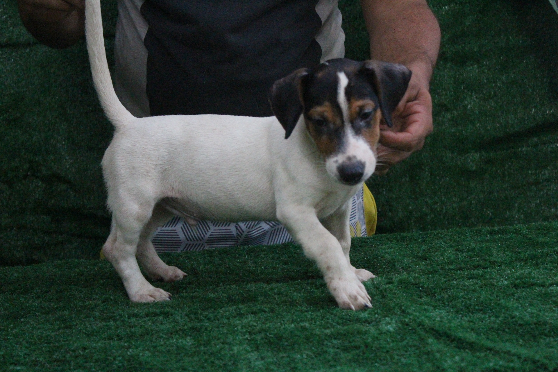 M2 Lexie 4 IMG_3737.JPG