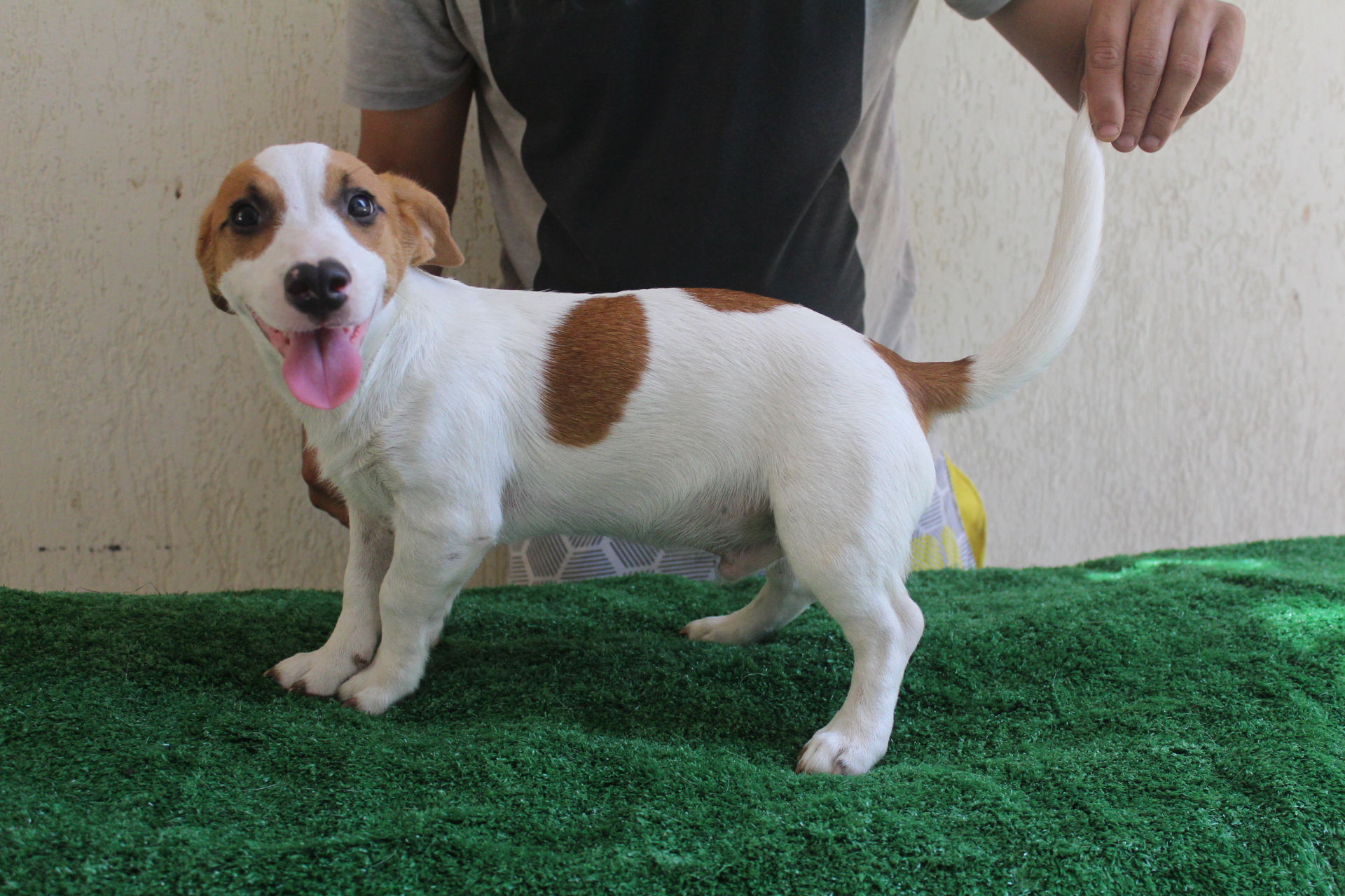 M1 Das Dô 8 IMG_3455.JPG