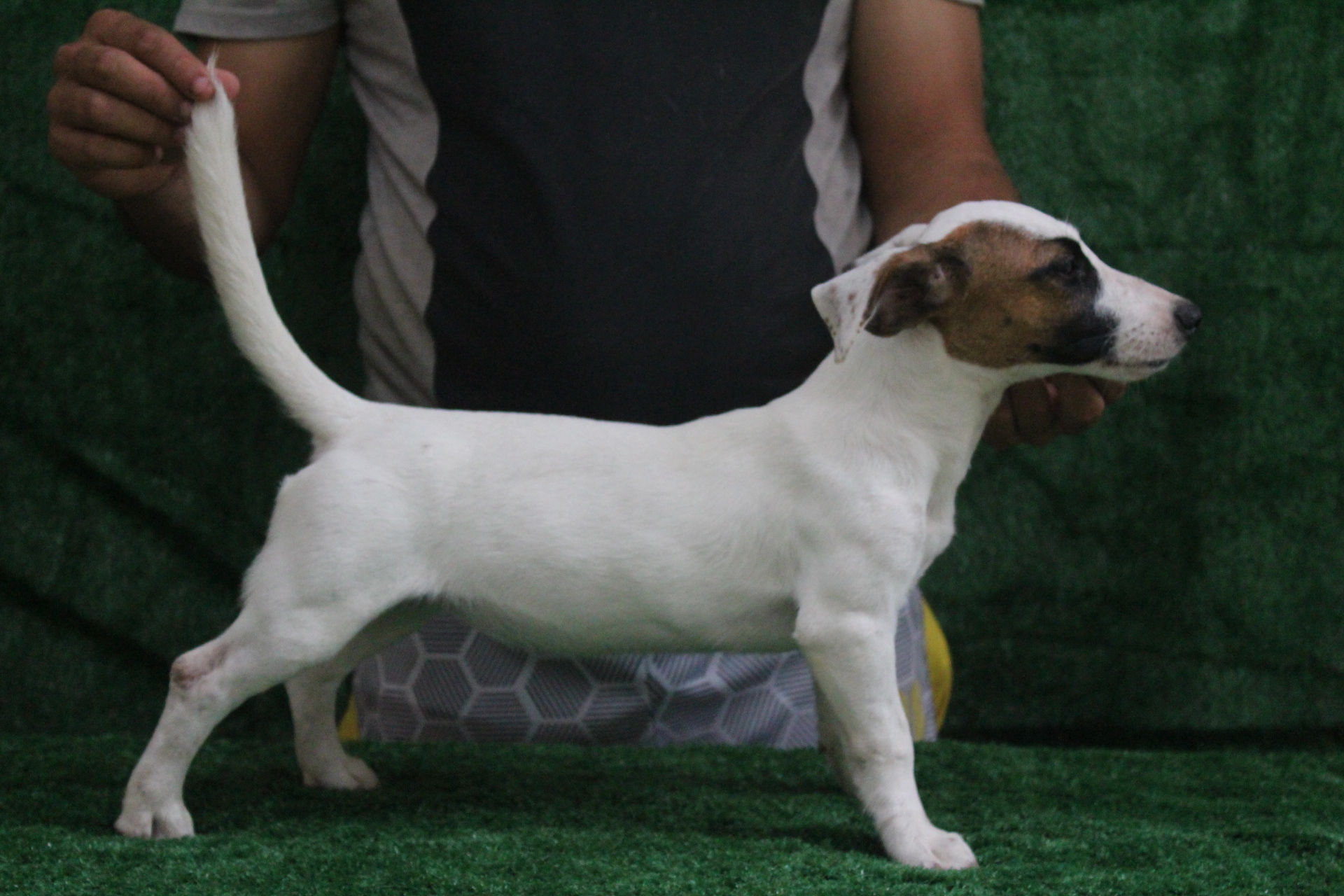 F2 Das Dô 6 IMG_3594.JPG