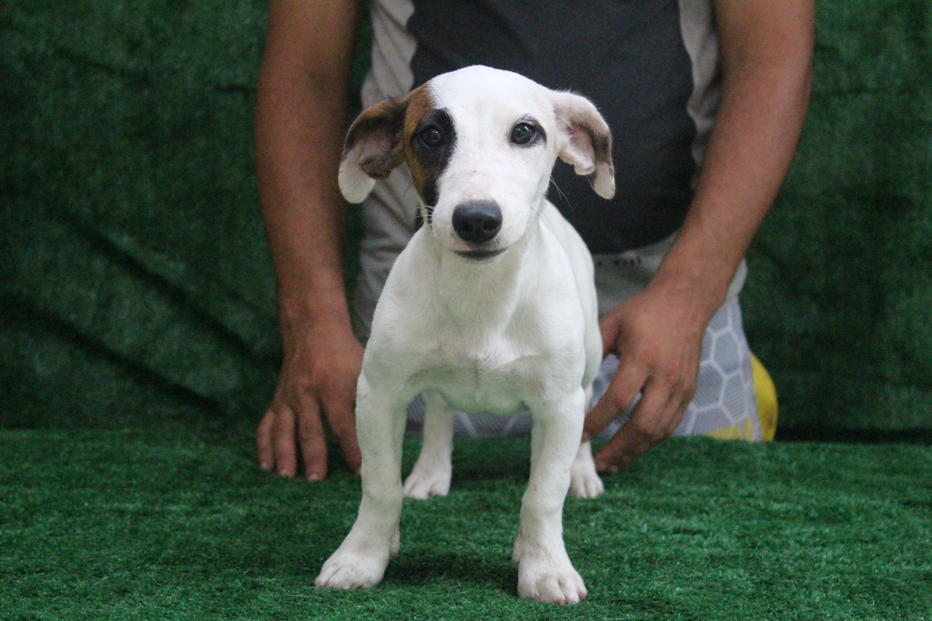 F2 Das Dô 2 IMG_3599.JPG