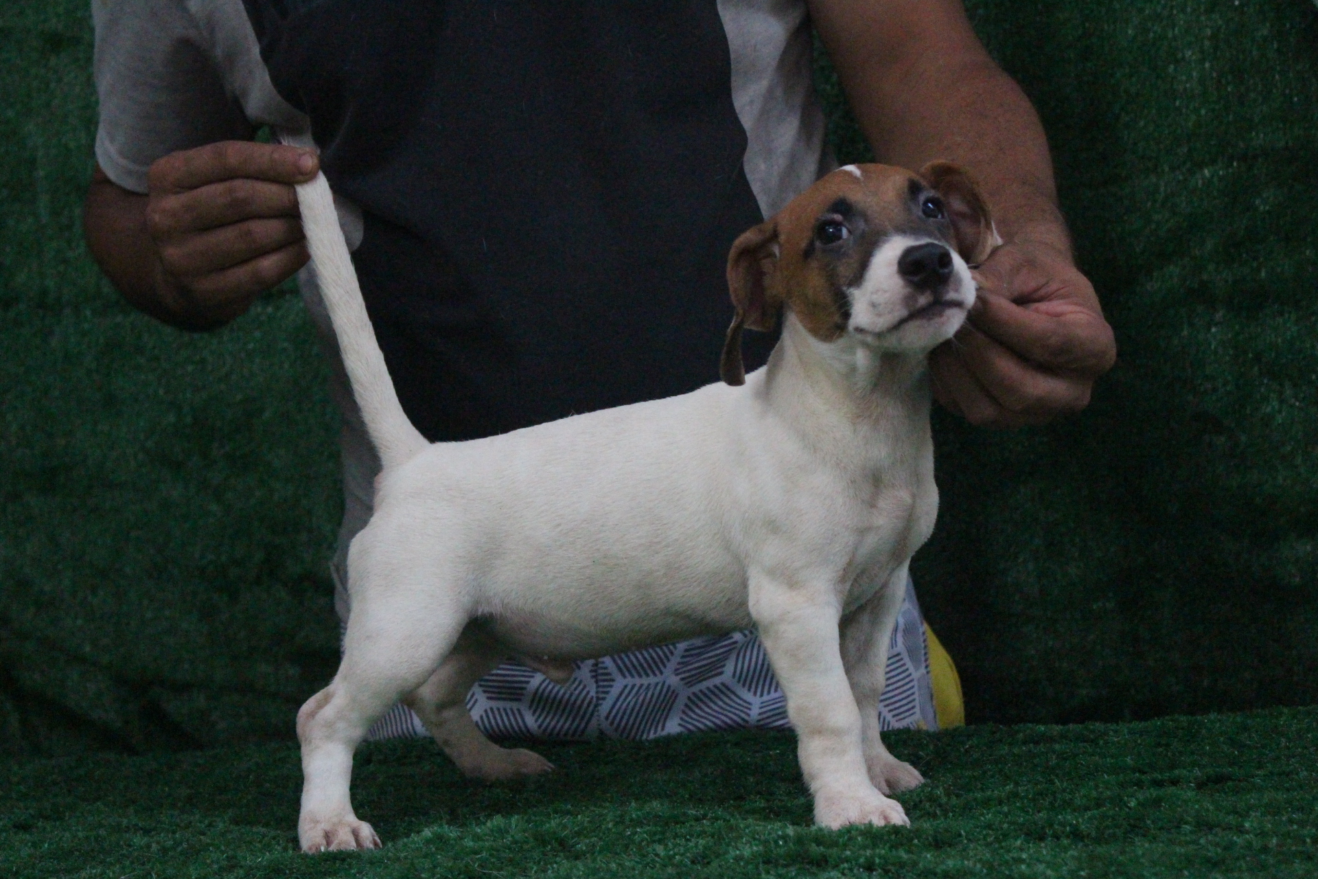 M3 Lexie 5 IMG_3774.JPG