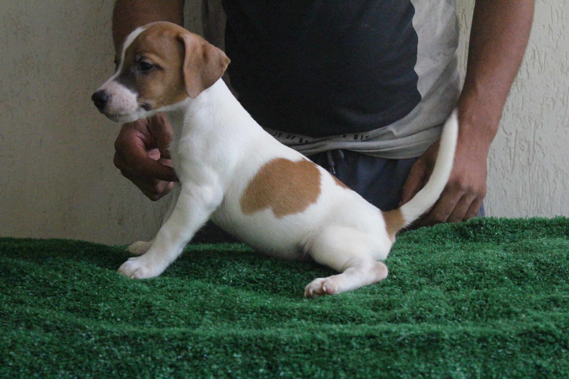 M1 Lexie 9 IMG_3492.JPG