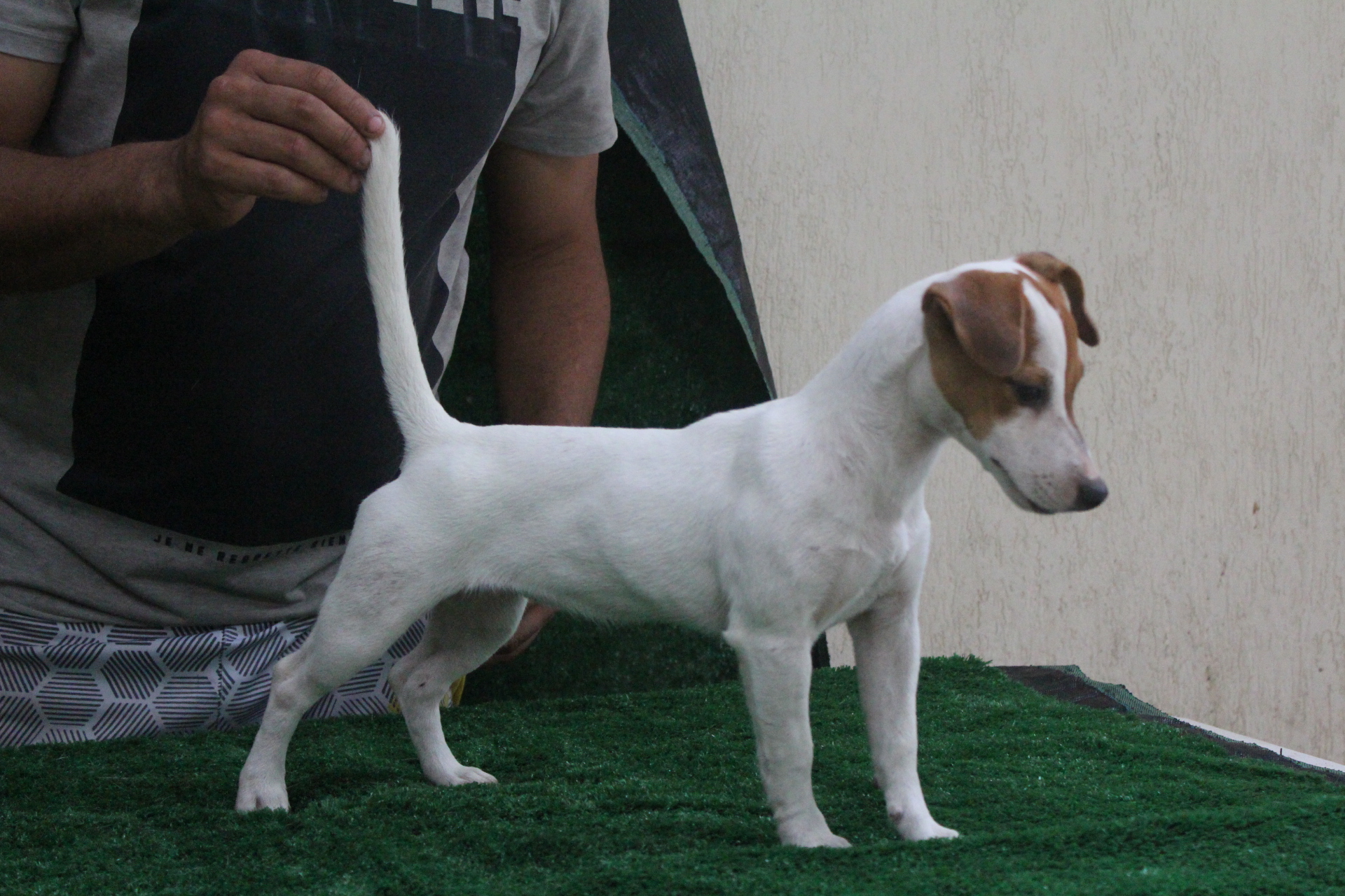 F1 Das Dô 6 IMG_3632.JPG