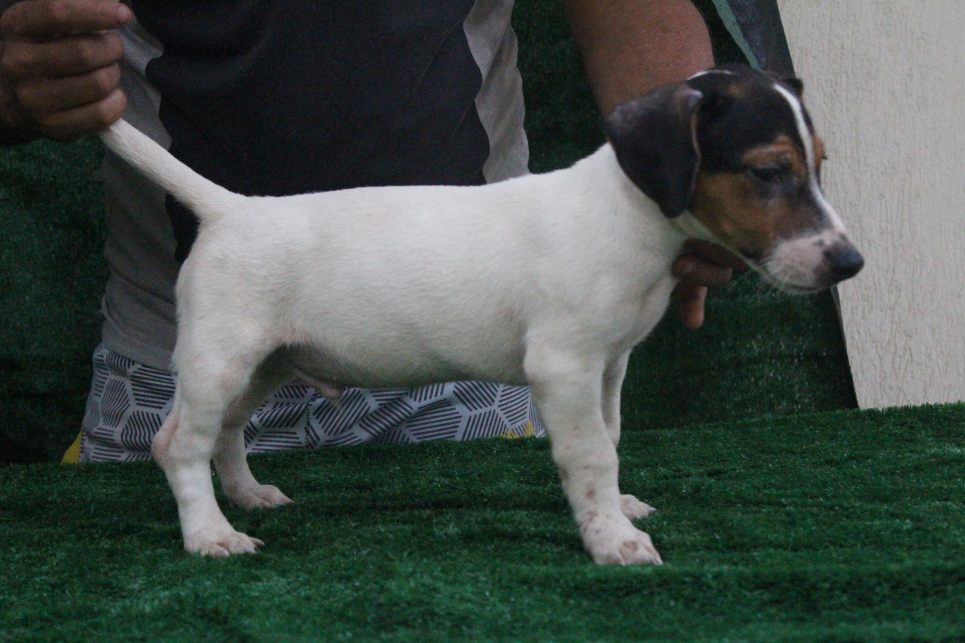 M2 Lexie 6 IMG_3741.JPG