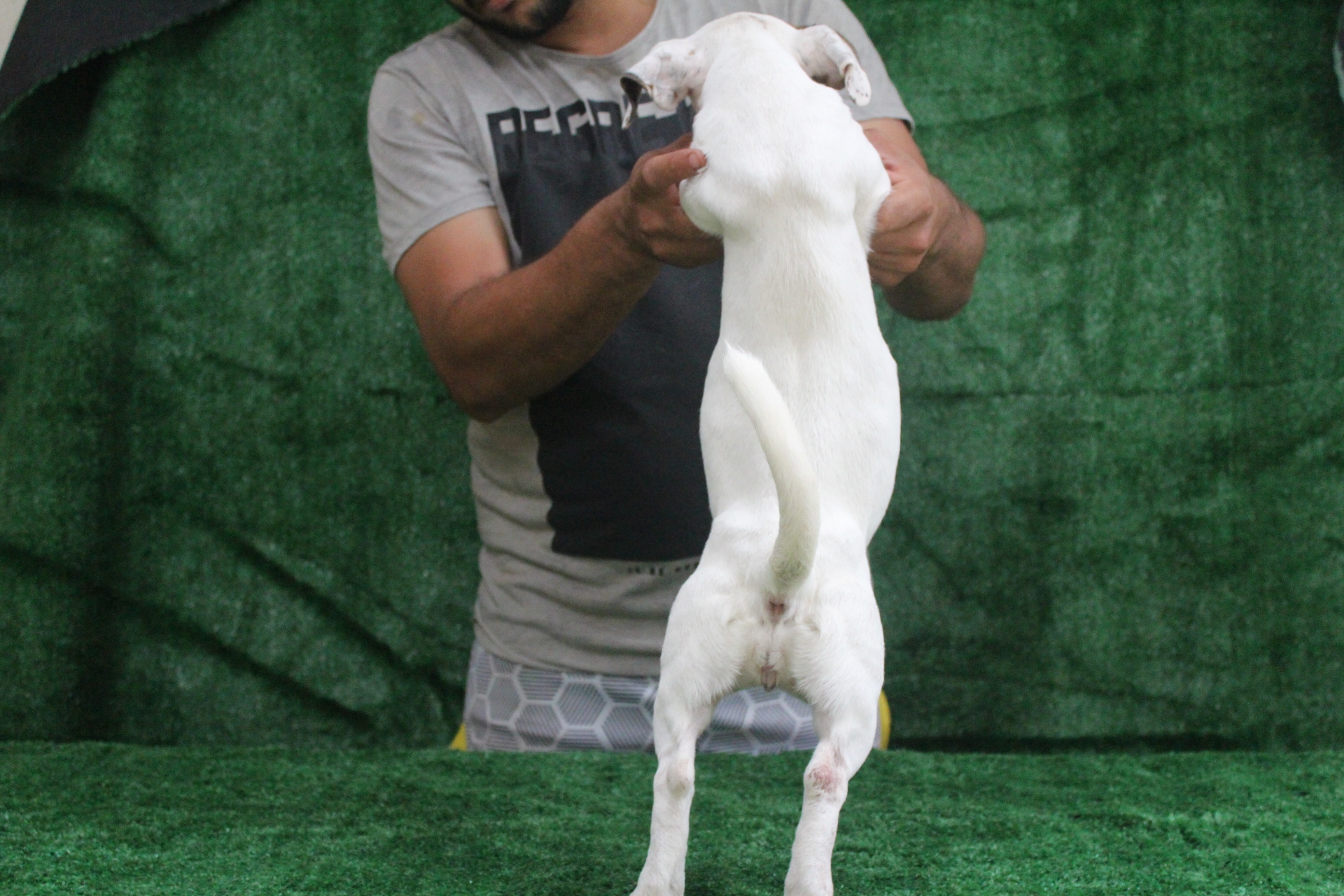 F2 Das Dô 3 IMG_3607.JPG