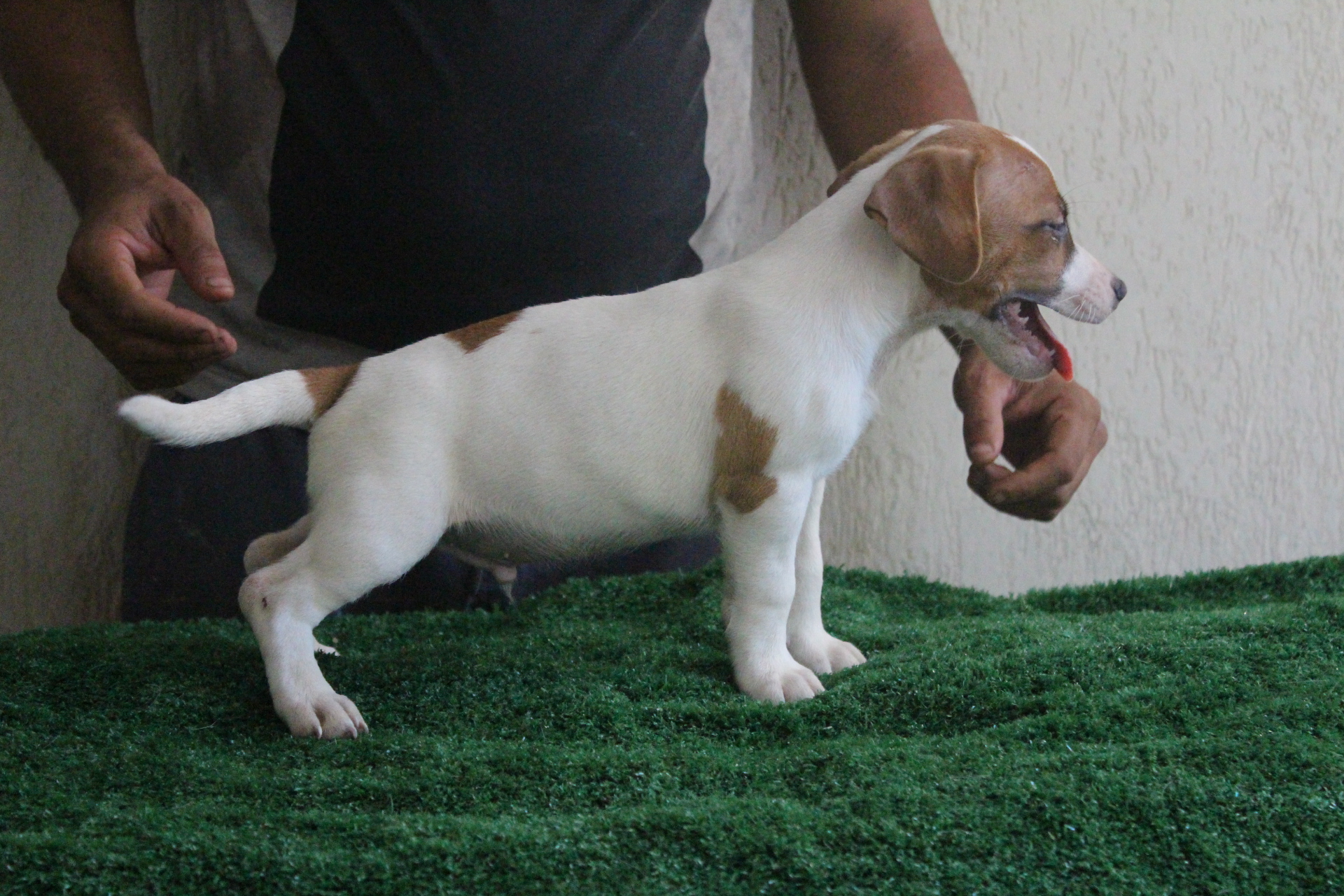 M1 Lexie 7 IMG_3519.JPG