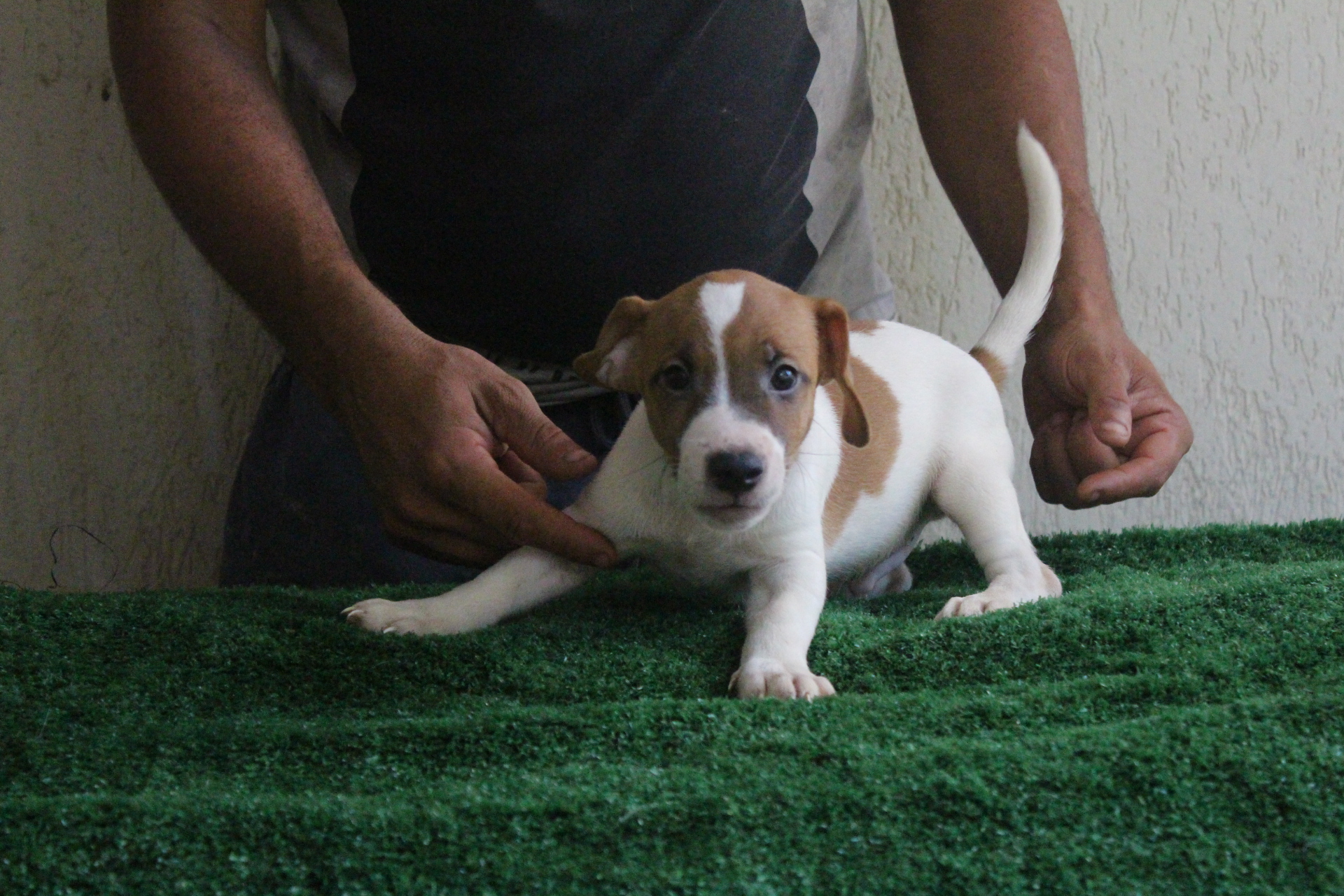 M1 Lexie 2 IMG_3488.JPG