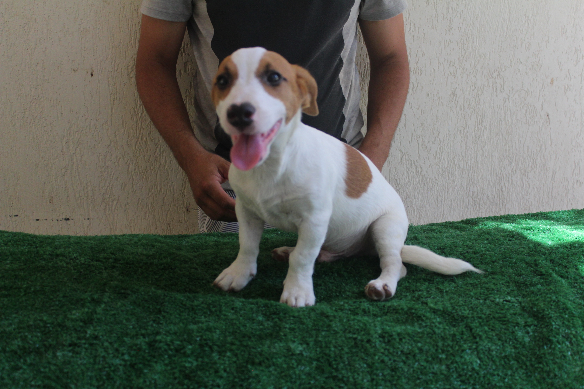 M1 Das Dô 2 IMG_3468.JPG