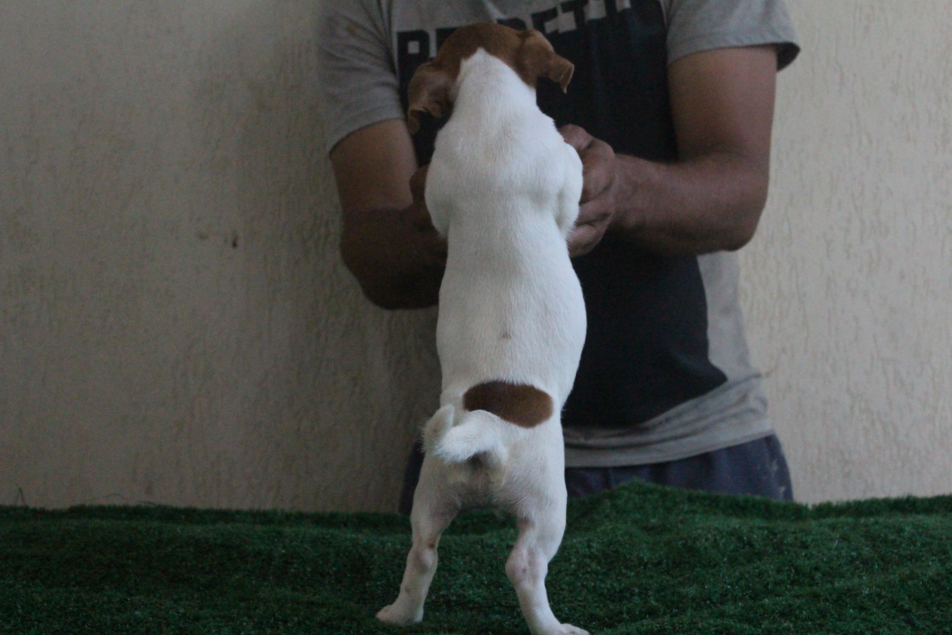 F2 Lexie 10 IMG_3607.JPG